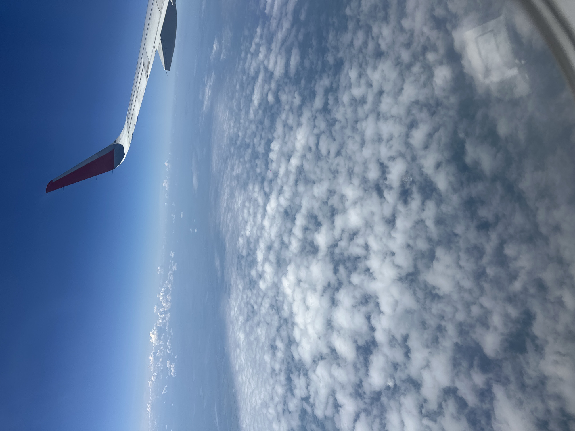 The image shows a view from an airplane window, looking out at a vast expanse of sky and clouds. The airplane's wing, painted white with a red tip, is visible in the foreground on the left side of the frame, extending diagonally upwards. Below the wing, the sky transitions from a deep, clear blue near the horizon to a lighter, hazy blue. A dense layer of fluffy, white cumulus clouds stretches across the majority of the frame, appearing textured and uneven. The sun is likely high in the sky, as indicated by the bright illumination of the clouds and the clear visibility, suggesting it is daytime. The overall impression is one of a serene flight, offering a glimpse of the world from above. There is no visible text in the image. The location context suggests the flight is over or near Шульгин Лог, Russia.