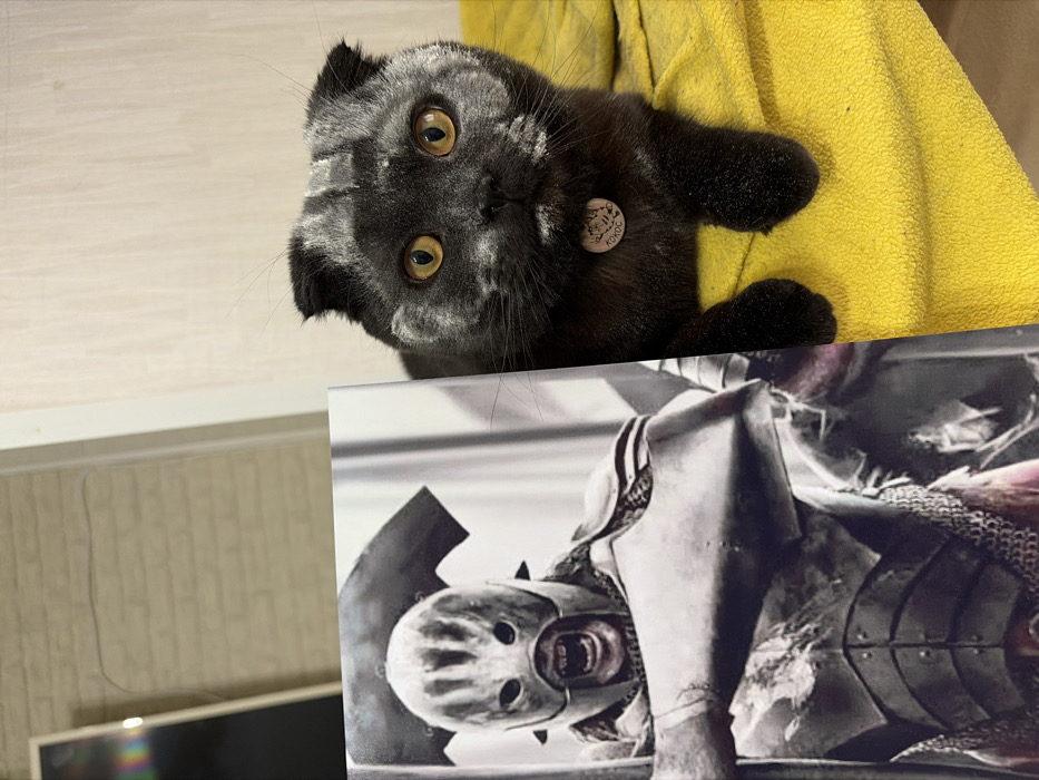 An indoor scene in Chaikovsky, Russia, features a black Scottish Fold cat positioned on a yellow, textured fabric surface, with a printed image held vertically next to it. The cat faces the camera, displaying large, round, amber eyes and folded ears characteristic of its breed. Its fur appears dark with some lighter, possibly dust or reflection-induced, mottling around its face and head. A silver-colored circular tag with Cyrillic text "КОКОС" (Kokos) and an embossed cat image hangs from its collar.
To the left of the cat, a printed image depicts an Uruk-hai character from "The Lord of the Rings," rendered in predominantly grayscale tones with minor reddish accents. The character is shown from the chest up, wearing elaborate armor and a helmet that covers most of its face, revealing a snarling or roaring mouth with visible teeth.
The background consists of a light-colored, possibly off-white or beige, textured wall. In the upper left quadrant, a vertical, black, reflective object, possibly an electronic screen, is partially visible, showing faint color reflections. A translucent clear sheet or panel is also present between the reflective object and the wall. The yellow fabric surface extends underneath the cat's front paws.