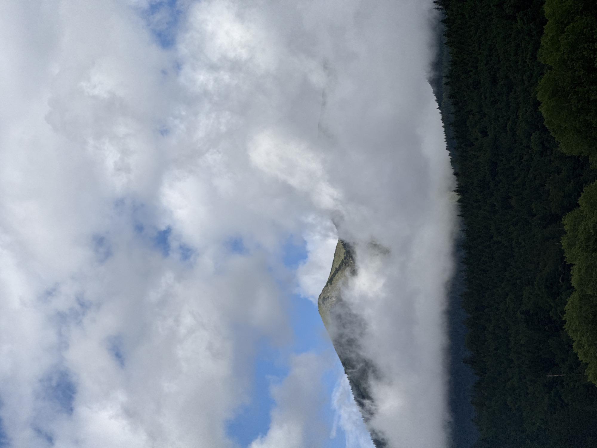 This is a photograph of a mountain peak partially obscured by clouds in Garmisch-Partenkirchen, Germany. The foreground is dominated by a dense, dark green coniferous forest, with a lighter green treeline visible at the very bottom. Above the forest, the slope of a mountain rises, also covered in trees. A prominent mountain peak emerges above the tree line, with its upper slopes appearing grassy and possibly bare in some areas. Clouds are a significant element of the scene, with fluffy white and gray clouds drifting across the sky and partially engulfing the mountain. Patches of blue sky are visible between the clouds. The overall impression is a dramatic and atmospheric mountain landscape on a cloudy day.