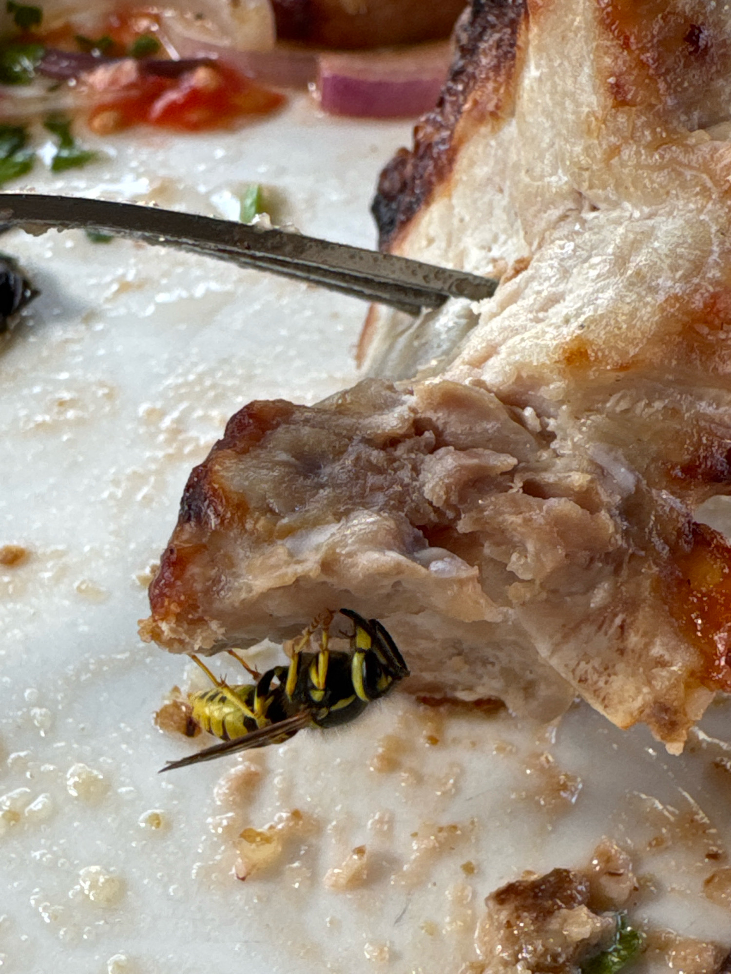 The image shows a close-up of a partially eaten piece of food on a white plate. A dead yellow and black wasp is lying on its side on the plate, near the food. The food appears to be meat with a crispy, browned exterior. There are also some remnants of herbs and possibly red onion on the plate. The lighting suggests an indoor setting, possibly a restaurant. The image does not provide any specific information about the city of Telavi, Georgia.