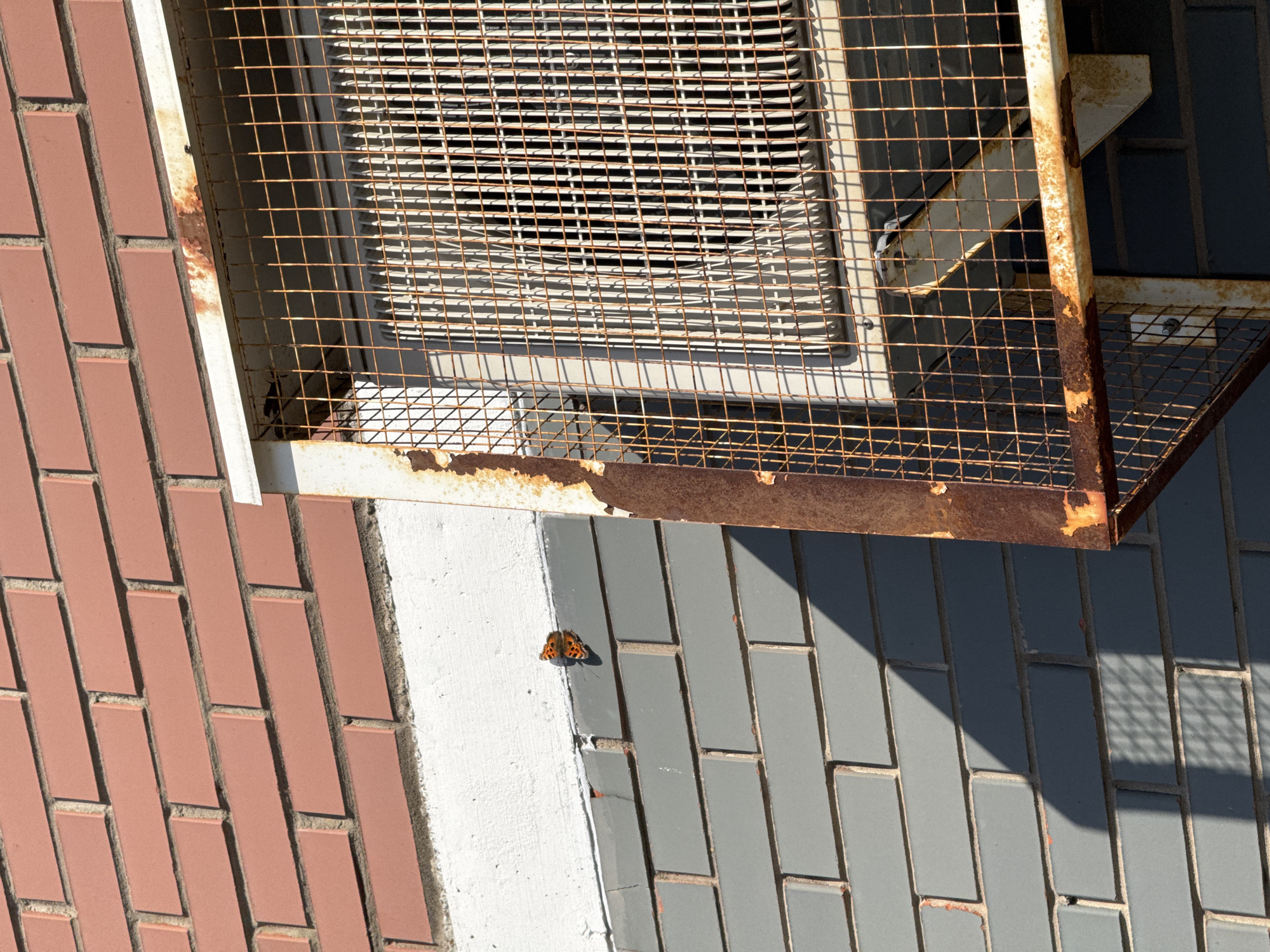 The image shows a close-up of a building exterior with a metal grate covering what appears to be an air conditioning unit. The grate is rusty and positioned above a brick-paved area. A butterfly is resting on the bricks, near a white painted section. The bricks are laid in a running bond pattern, with some sections painted red and others gray. The location is possibly Izhevsk, Russia, based on image context that is not visible in this specific frame.