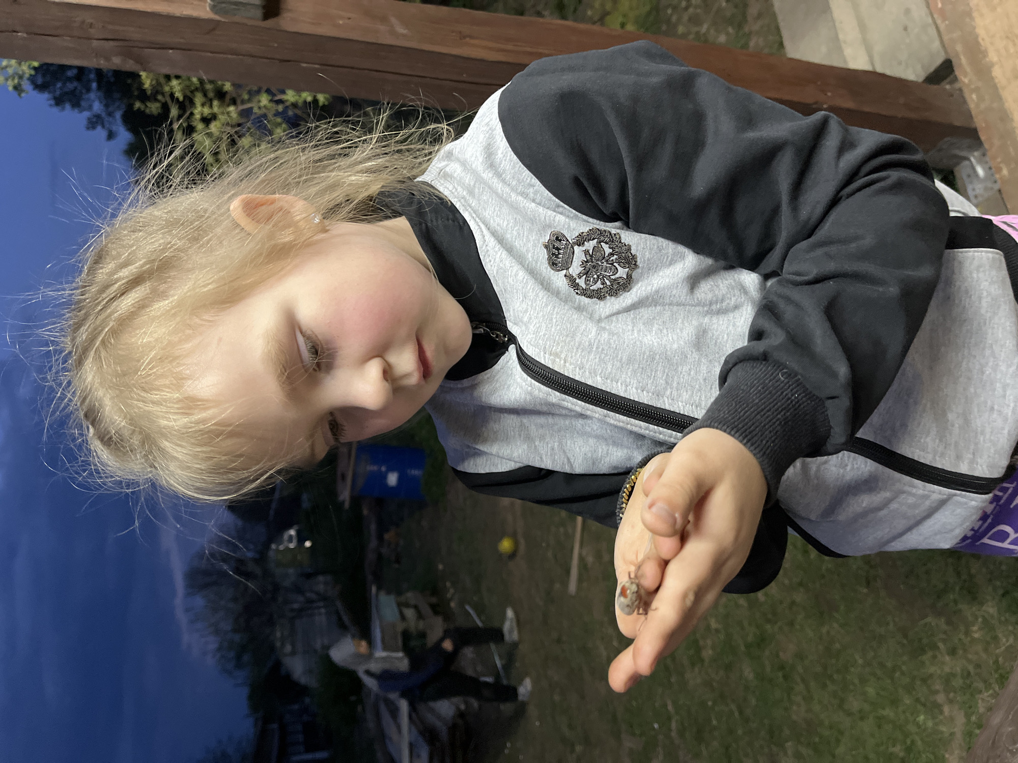 A fair-skinned young girl with blonde hair is examining a bug on her hand outdoors. She is wearing a gray and black zip-up jacket with a decorative emblem on the chest. The background shows a yard with green grass and a glimpse of what appears to be dusk or evening sky reflected in a window. In the background, two people are visible; they are not interacting with the girl. The overall scene is somewhat dark. The photograph was taken outside in the city of Chaikovsky, Russia.