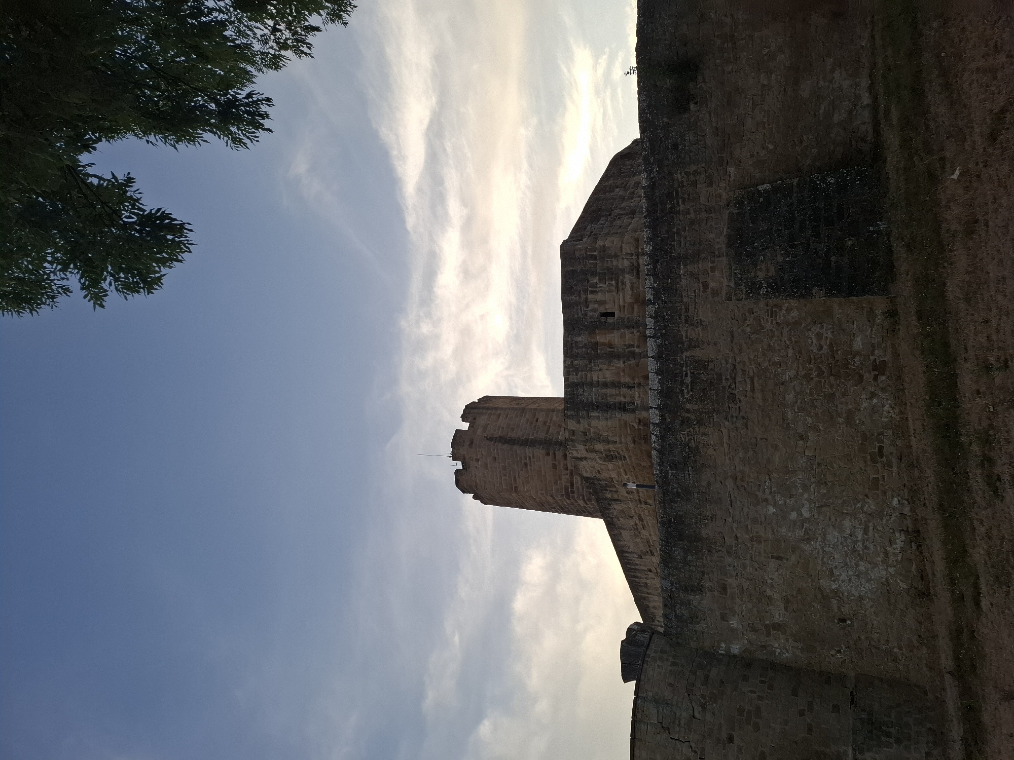 The image shows the outer wall and a tower of the medieval fortress in Sinsheim, Germany. The fortress, constructed primarily of stone, is a prominent historical landmark. The sky above is partly cloudy with a light blue hue. In the foreground, dry grass covers the ground. A tree branch with green leaves is visible in the upper right corner of the frame. The lighting suggests it is either sunrise or sunset.