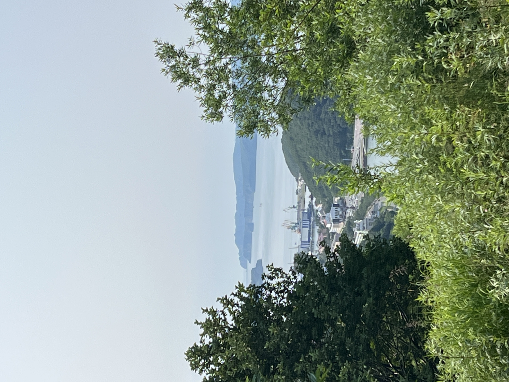 This is an outdoor, eye-level, medium shot of a panoramic view of a harbor and city from a hillside. The foreground is dominated by lush green foliage and trees, with the left side featuring a large, dark green tree and the right side a lighter green tree with more exposed branches. Below the trees, a dense layer of green grasses and smaller plants occupies the bottom of the frame.
In the midground, a city sprawls along a bay, with buildings clustered together. A prominent feature is a shipyard with several cranes, visible near the water's edge. The bay itself is calm, reflecting the hazy sky.
The background consists of a body of water stretching towards distant, blue-hazed islands or peninsulas. The sky is a pale, overcast blue, suggesting a diffused light condition. The scene is devoid of any visible people or animals. The overall impression is one of a coastal city with industrial activity, viewed from a natural vantage point.
This view is likely from one of the hills overlooking Avacha Bay in Petropavlovsk-Kamchatsky, Russia, potentially from the area of Maly Mayak or near the observatory, given the typical vistas of the city, harbor, and surrounding landforms.