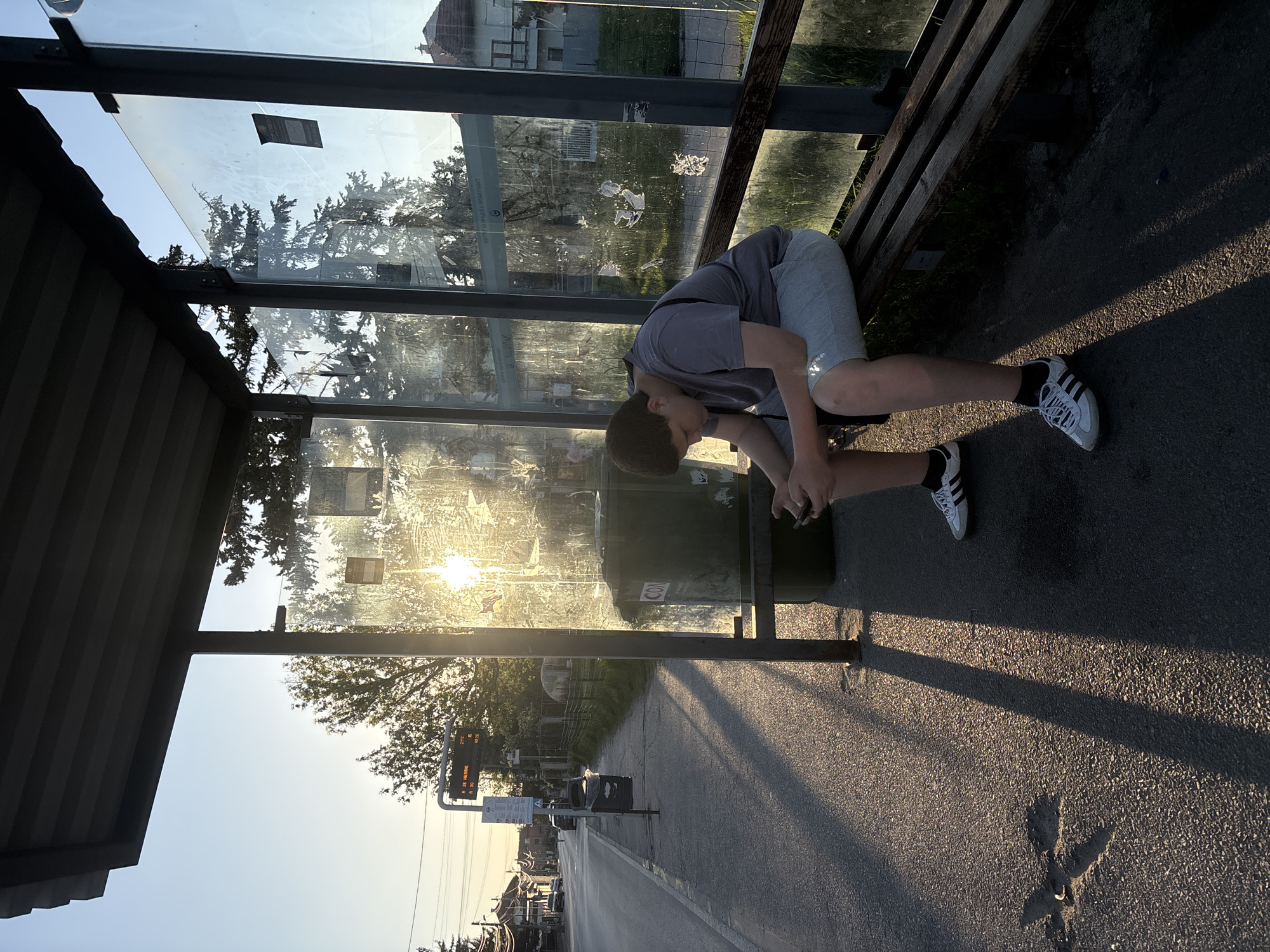 A young man is slumped over on a bench at a bus stop in Sofia, Bulgaria. He is wearing a grey t-shirt, light-colored shorts, and white sneakers with black stripes. He is leaning forward with his head down, elbows resting on his knees, and appears to be looking at something in his hands, possibly a phone. The bus stop has a glass enclosure and a wooden bench. Through the glass, there are reflections of trees, buildings, and sunlight. The street outside the bus stop is visible, with a bus schedule display, vehicles, and buildings. The sidewalk is paved and has long shadows cast across it, suggesting a low sun angle.