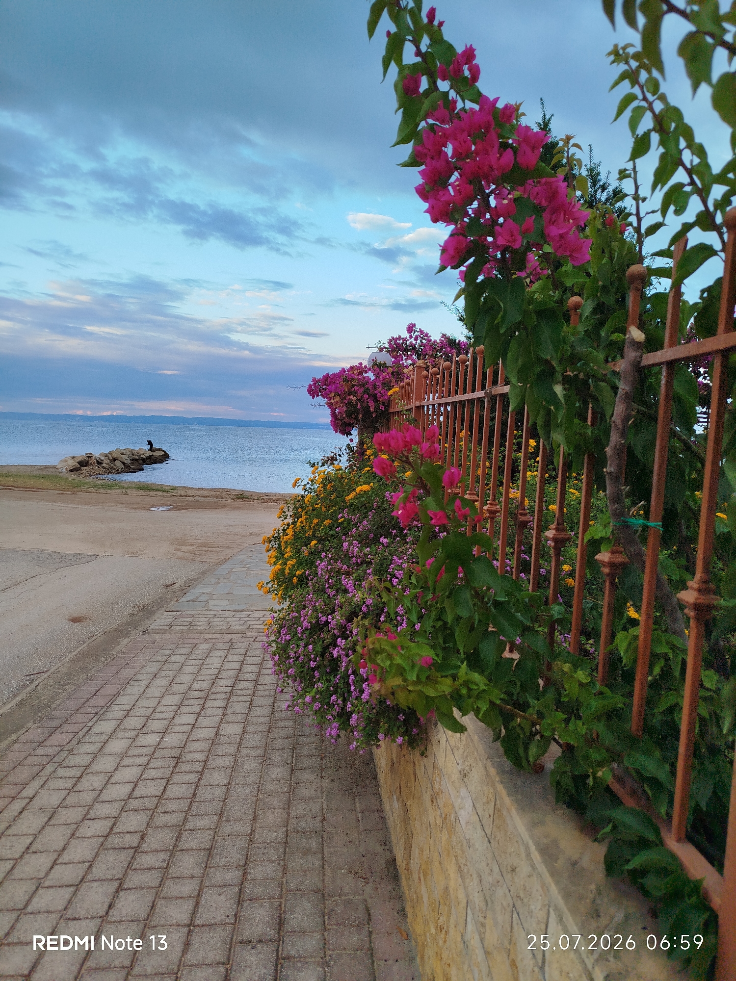 The image depicts a seaside scene in Sithonia Municipal Unit, Greece, during twilight. A paved walkway runs along the foreground, bordered by a low stone wall and a rusty metal fence overflowing with vibrant pink and yellow bougainvillea. Beyond the walkway and vegetation lies a sandy beach leading to the calm blue sea. In the distance, a solitary figure is seated on a rocky outcrop at the water's edge. The sky above is a mix of soft blue and grey clouds, reflecting the gentle light of dusk. The scene is serene and suggests a peaceful coastal environment.