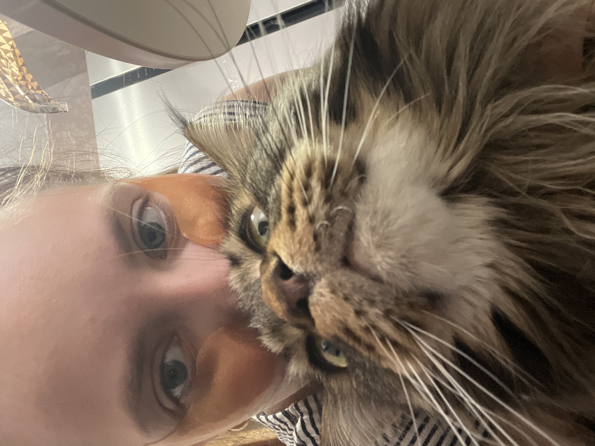 A close-up photograph shows a person and a Maine Coon cat posing for a selfie. The person has pale skin, light hair, and is wearing orange undereye masks. The cat has tabby fur with long white whiskers and green eyes. The background is blurred, but a striped shirt, a white ceiling, and a lamp can be identified. The location is likely indoors. It is not possible to verify the location in the city of Марковский, Russia from the image.