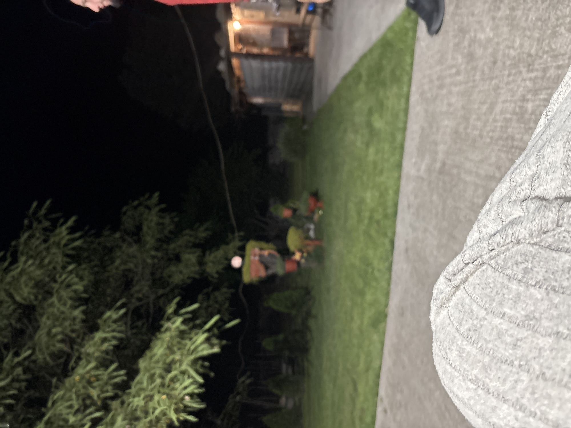The image depicts an outdoor, nighttime scene, stated to be in the city of Krum, Bulgaria. In the foreground, a person's leg, clad in light gray, ribbed or knitted fabric, is visible on the lower left. The ground consists of a textured concrete or paved surface on the right, which transitions to a well-maintained strip of green grass that extends across the mid-ground.
In the mid-ground, a series of small, dark green, conical shrubs or trees line the back of the lawn. To their right, several garden decorations are visible, including a tall, multi-tiered structure holding plant pots, with a light-colored, spherical object perched at its top. Additional potted plants are positioned on the ground nearby.
The background on the left is dominated by the dense, dark green foliage of a large tree, likely coniferous, extending into the upper left quadrant. On the right side of the image, partially visible on the concrete path, stands a person. Only their right side is shown, revealing a portion of their face with a beard and a red garment. A dark shoe is visible at their foot. Further into the background on the right, a wooden or timber-clad structure, resembling a shed or outdoor shelter, is present with an interior light source illuminating its opening. The sky is dark, indicating nighttime, with ambient artificial light illuminating portions of the scene. A dark, thin line, possibly a wire or cable, spans horizontally across the upper mid-ground.