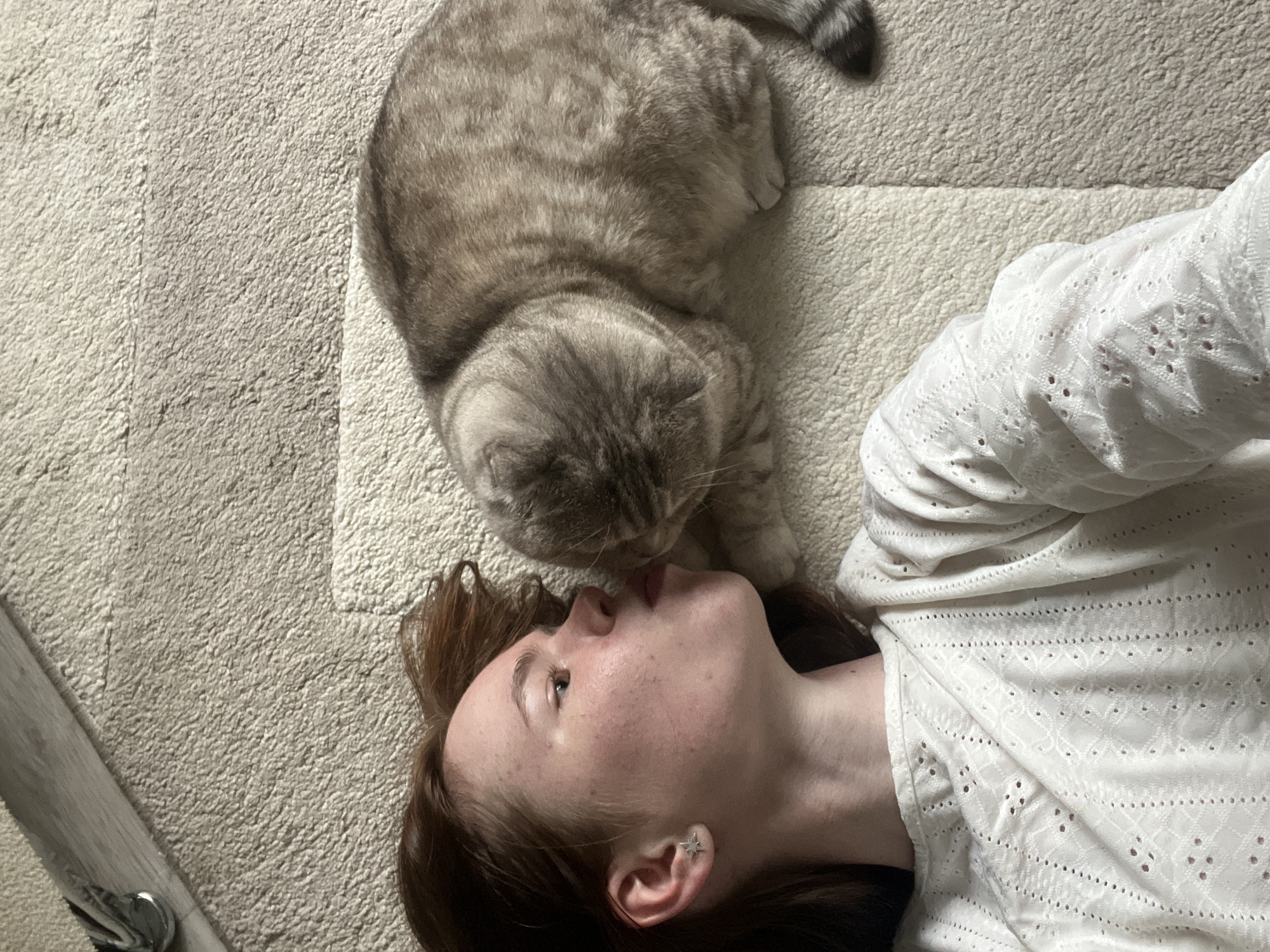 A person lies on a beige shag carpet indoors with a gray tabby cat on their head. The person has auburn hair, pale skin, and is wearing a white eyelet-patterned top. The cat is positioned with its head near the person's face and its body oriented away. The environment appears to be a domestic interior. The precise location cannot be determined from the provided image. There is no visible evidence to confirm the location is in the city of Chaikovsky, Russia.