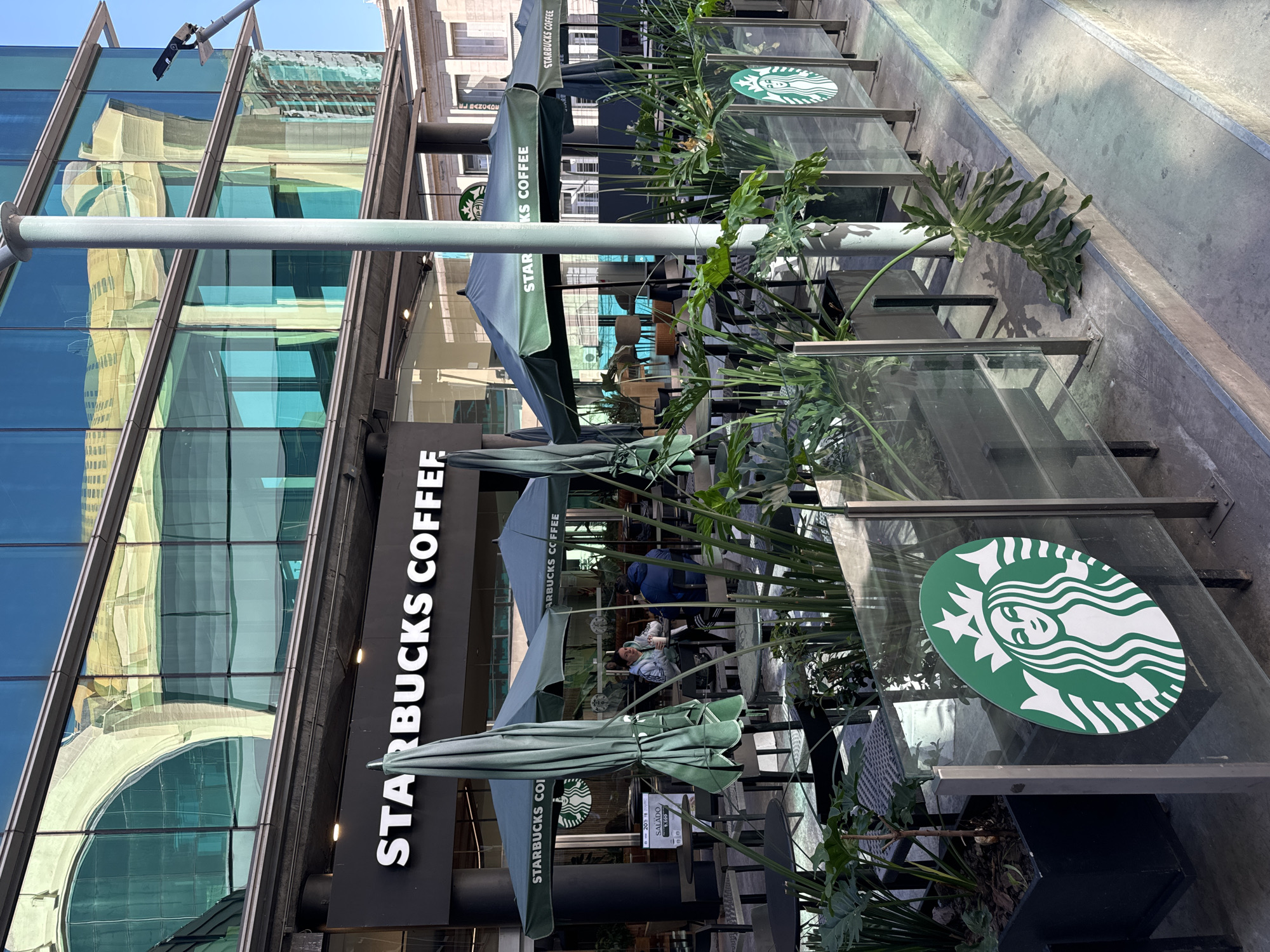 An eye-level shot captures a vibrant Starbucks coffee shop with outdoor seating under bright daylight in an urban setting. The foreground features a paved area with planters containing large-leafed tropical plants, separating the outdoor patio from the main pedestrian path. Green and grey Starbucks-branded umbrellas are open, shading round tables and chairs where several patrons are seated, seemingly enjoying beverages.
The prominent "STARBUCKS COFFEE" sign, with white block letters against a dark background, marks the entrance to the store. The building's upper facade is a modern glass structure, reflecting a contrasting light-colored building with arched windows and other surrounding architecture. Multiple green and white Starbucks siren logos are visible on the umbrellas, on a vertical sign, and on glass dividers that enclose the seating area.
Visible text includes "STARBUCKS COFFEE" displayed prominently. A small sign on one of the tables reads "SALADO" with "9.500" below it, likely indicating a price. The overall scene suggests a bustling urban cafe environment. The clear reflections in the glass indicate a sunny day, and the modern facade contrasted with reflected older architecture hints at a dynamic city landscape, consistent with Buenos Aires, Argentina.