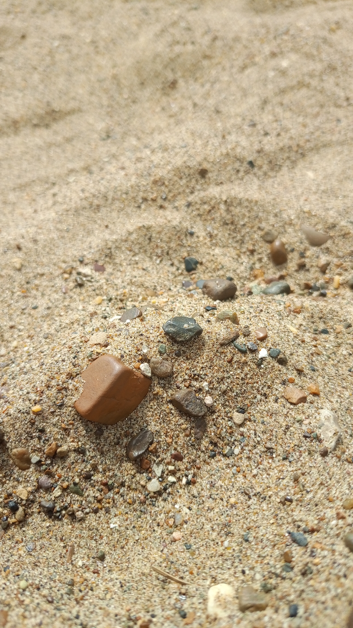 The image displays a close-up, ground-level view of a sandy surface interspersed with various small, smooth pebbles and rocks, located in Шолья, Russia. The foreground and mid-ground are in sharp focus, while the background exhibits a shallow depth of field, rendering the distant sand blurry.
The dominant features are a collection of rounded to sub-angular rocks embedded in a light tan, fine-grained sand. A prominent reddish-brown, somewhat rectangular rock is positioned in the lower-left quadrant. Other rocks vary in color, including dark grey, black, lighter grey, brown, and some with white or translucent appearances. Many of these stones appear wet or polished, indicating recent exposure to water or natural smoothing. The sand in the focused area appears damp, with visible individual grains and small sediment particles. The background shows subtle ripples or undulations in the sand, characteristic of natural deposits. No human subjects, animals, or man-made structures are present in the scene. The lighting is natural and diffuse, casting minimal discernible shadows.