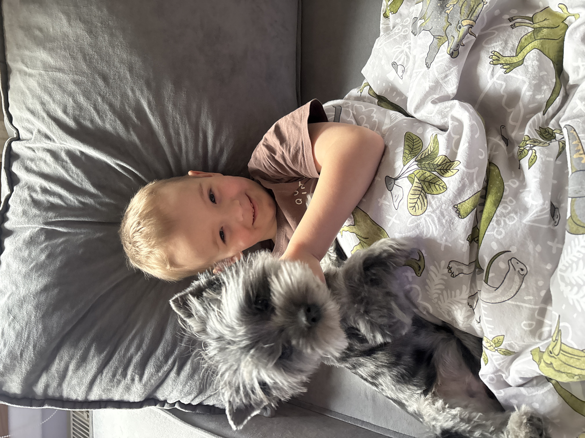 A young boy and a gray Schnauzer are lying on a gray couch. The boy is wearing a brown shirt and is partially under a white blanket with a dinosaur print. The boy is smiling and looking at the camera. The dog is lying on its back with the boy's hand on its chest. The location is Chaikovsky, Russia.