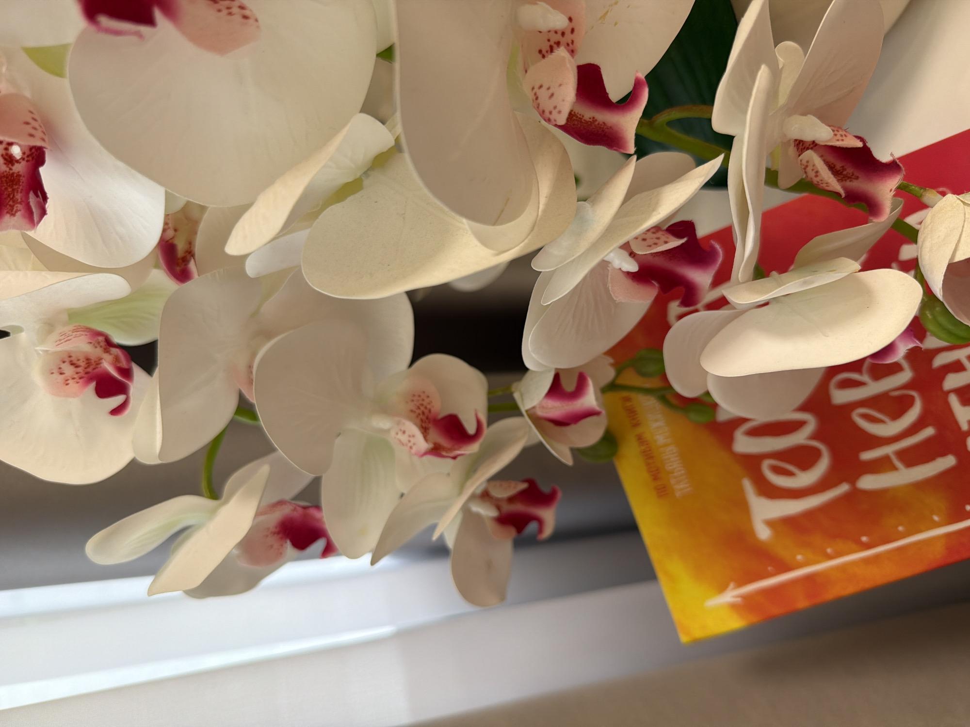 The image shows a close-up of white orchids with pink and dark red centers. A portion of a book with an orange and yellow gradient cover and white lettering is visible beneath the flowers. The text on the book appears to be in Cyrillic script, with the prominent words "Тео" and "Нев". The background consists of a softly lit, out-of-focus curtain and wall, suggesting an indoor setting. There are no people or animals visible in the frame. The scene is likely a domestic or office environment, possibly a windowsill or table decorated with flowers and a book. No specific details pinpoint the location to Kazan, Russia, beyond the presence of Cyrillic text on the book.