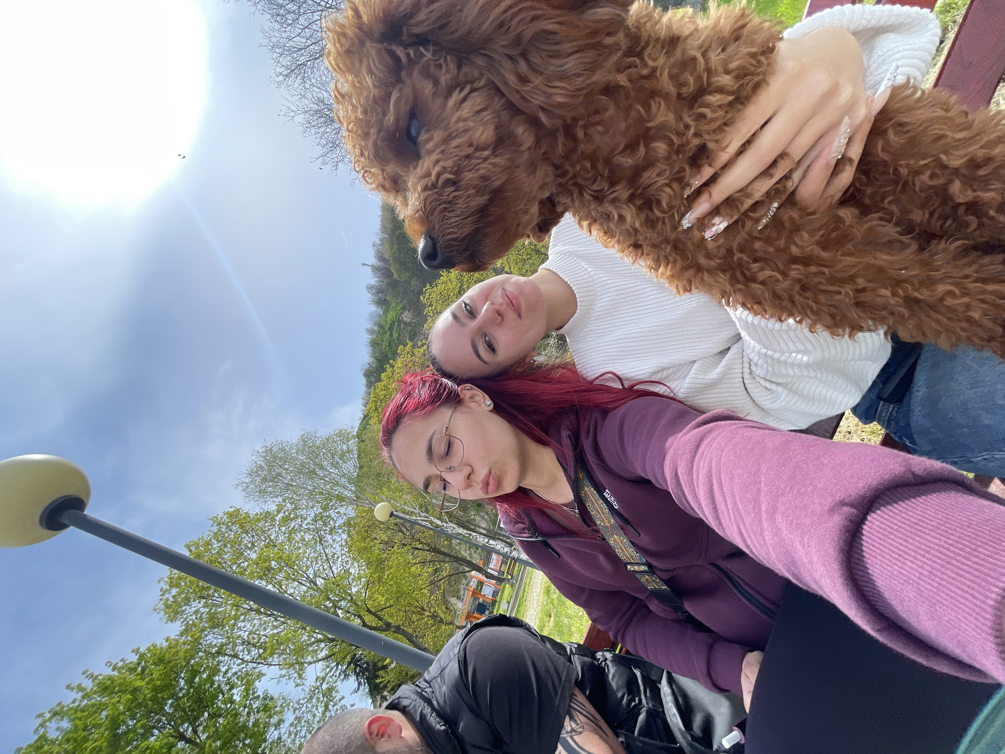 The image depicts two women and a brown poodle dog outdoors. One woman, with red hair and glasses, is wearing a purple sweatshirt. The other woman, with her hair pulled back, is wearing a white sweater and jeans. The dog is held by the woman in the white sweater. A man with tattoos is seated nearby. A light post, trees, and a grassy area can be seen in the background. The location is in Nikopol, Bulgaria.