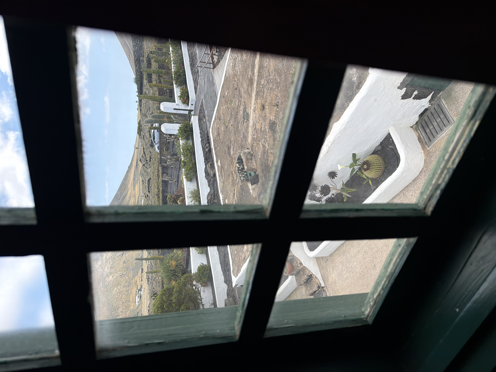 The image captures an outdoor scene viewed through a dark, multi-paned window frame, giving a sense of looking out from an indoor space. The photo is rotated 90 degrees clockwise.
In the immediate foreground, the dark wooden window frame with its grid of panes is prominent, partially obscuring the view. Some of the glass panes show slight reflections or dirt.
Beyond the window, a sunlit courtyard area unfolds. This area features white-painted low walls and structures, common in the region, defining various sections of the outdoor space. There are numerous cacti and other arid-climate plants arranged around these structures and in planters. Tall, columnar cacti are visible in the background, lining what appears to be a path or a boundary. Closer to the viewer, a large, rounded barrel cactus with a flower is prominent in a planter. A small, dark, circular structure, possibly a well or a water feature, is also visible in the paved area. A light-colored ground surface, possibly gravel or stone, covers the courtyard. In the middle distance, a partial view of a white car can be seen next to a wall.
Further in the background, a striking volcanic landscape dominates, with barren, dark-colored hills stretching into the distance under a bright sky with scattered white clouds. The overall impression is of a arid, sunny environment. The clear lighting suggests it is daytime, likely morning or afternoon. The volcanic terrain and abundance of cacti are strong indicators of a location like San Bartolomé in Lanzarote, Spain. No discernible text is visible in the image.