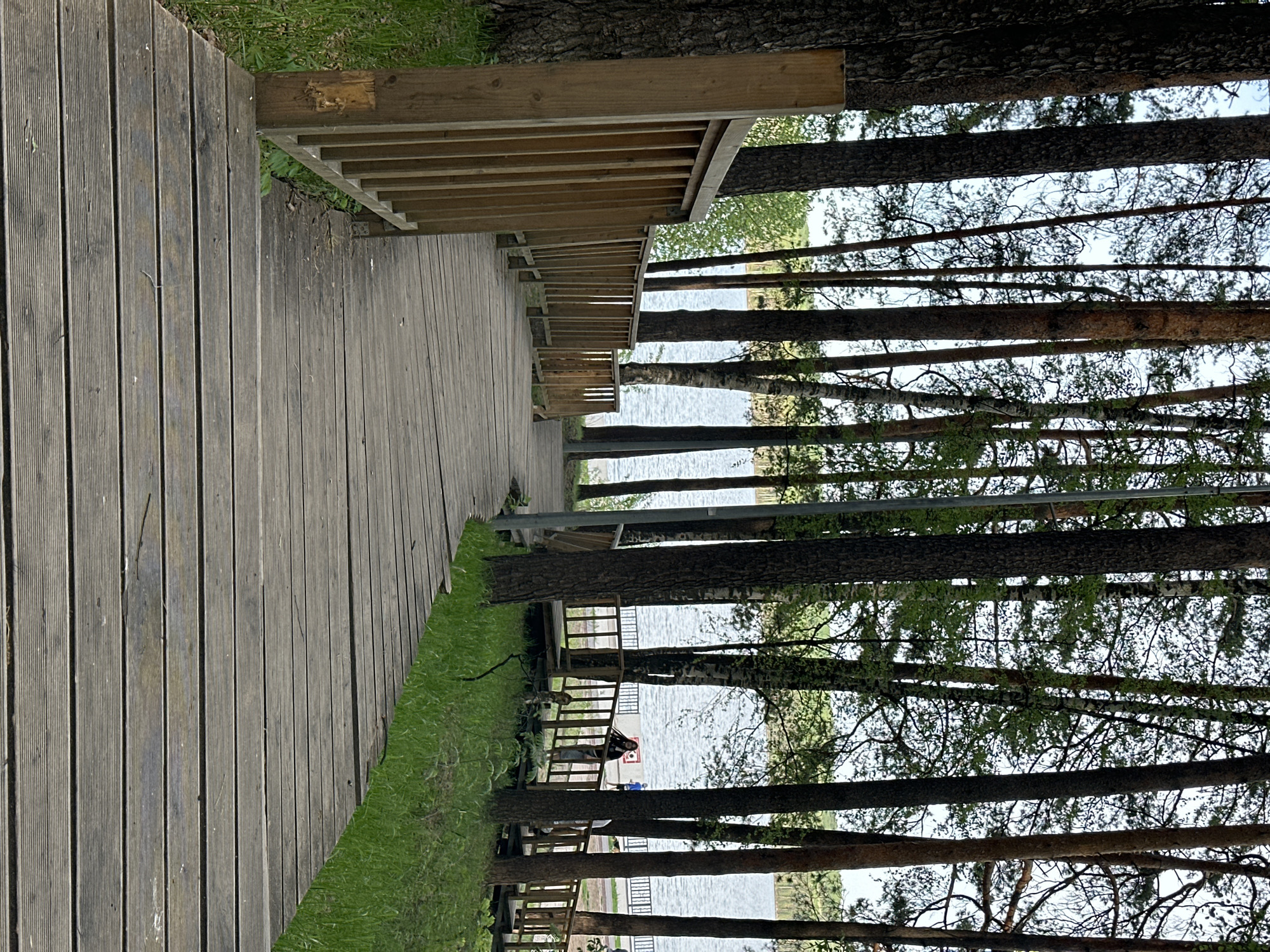 The image depicts a wooden boardwalk extending along a shoreline in what appears to be a natural setting. Tall, thin trees line the right side of the boardwalk, partially obscuring a view of the water. A wooden railing borders the boardwalk on the water side. In the distance, a bench can be seen with what appear to be figures near or on it. The location is Chaikovsky, Russia.