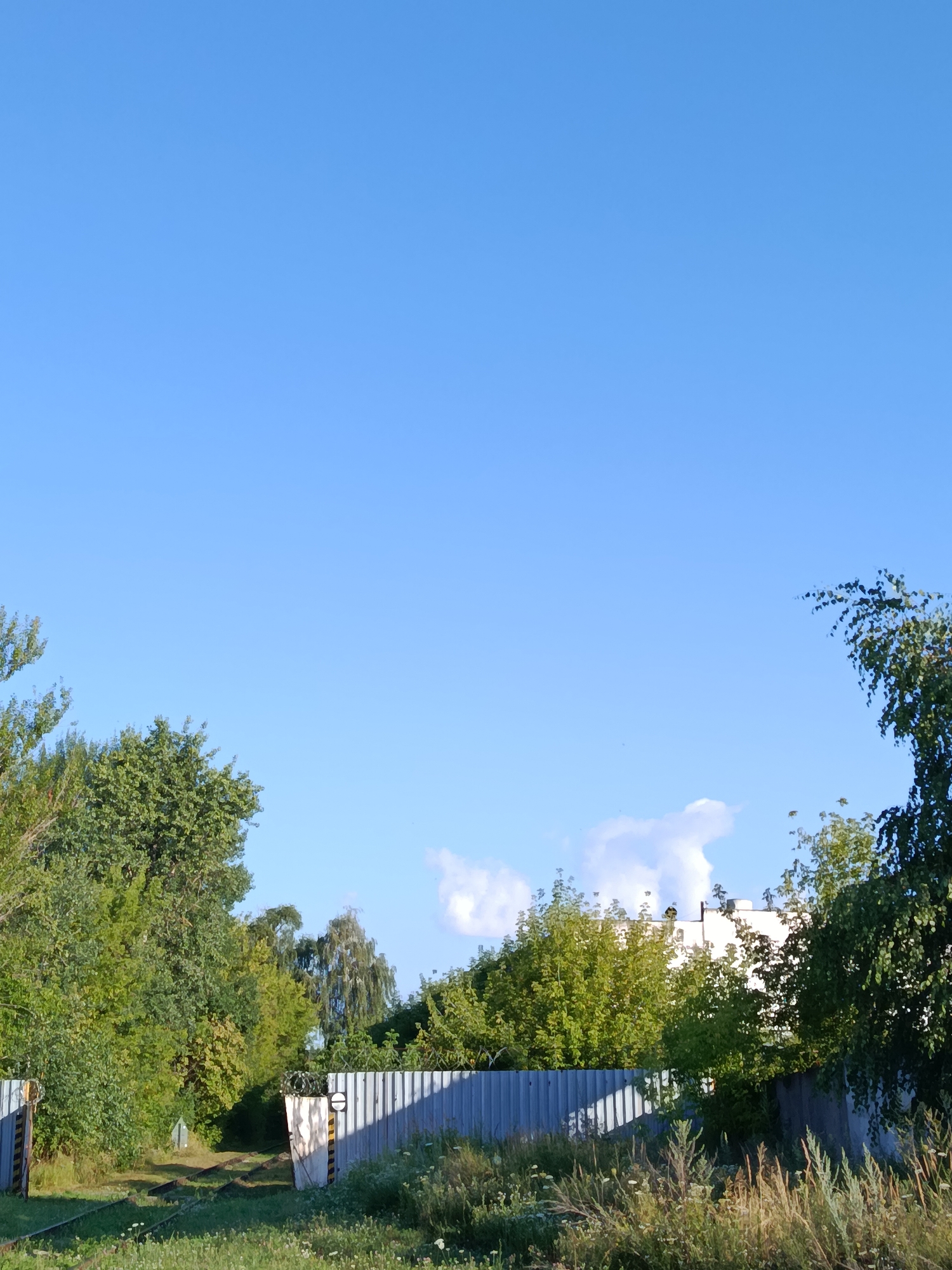 A wide-angle, eye-level outdoor photograph captures a scene in the city of Svetlogorsk, Belarus. The image is dominated by a vast expanse of clear, light blue sky, taking up approximately two-thirds of the frame. In the lower portion of the image, a low, light gray corrugated metal fence runs horizontally across the width. To the left of the fence, two gateposts are visible; one on the far left and another to its right, with black and yellow striped markings. Between these posts, railway tracks are visible, suggesting a railway crossing. The left gatepost is a simple vertical metal bar, while the right gatepost is a more substantial structure topped with barbed wire. Beyond the fence, a dense line of green trees forms a backdrop, with varying shades of green foliage. Behind the trees, the top of a white building is partially visible. In the foreground, to the right of the railway tracks and in front of the fence, tall green grass and other vegetation are present. The overall scene depicts a sunny day with a focus on the intersection of infrastructure and nature.