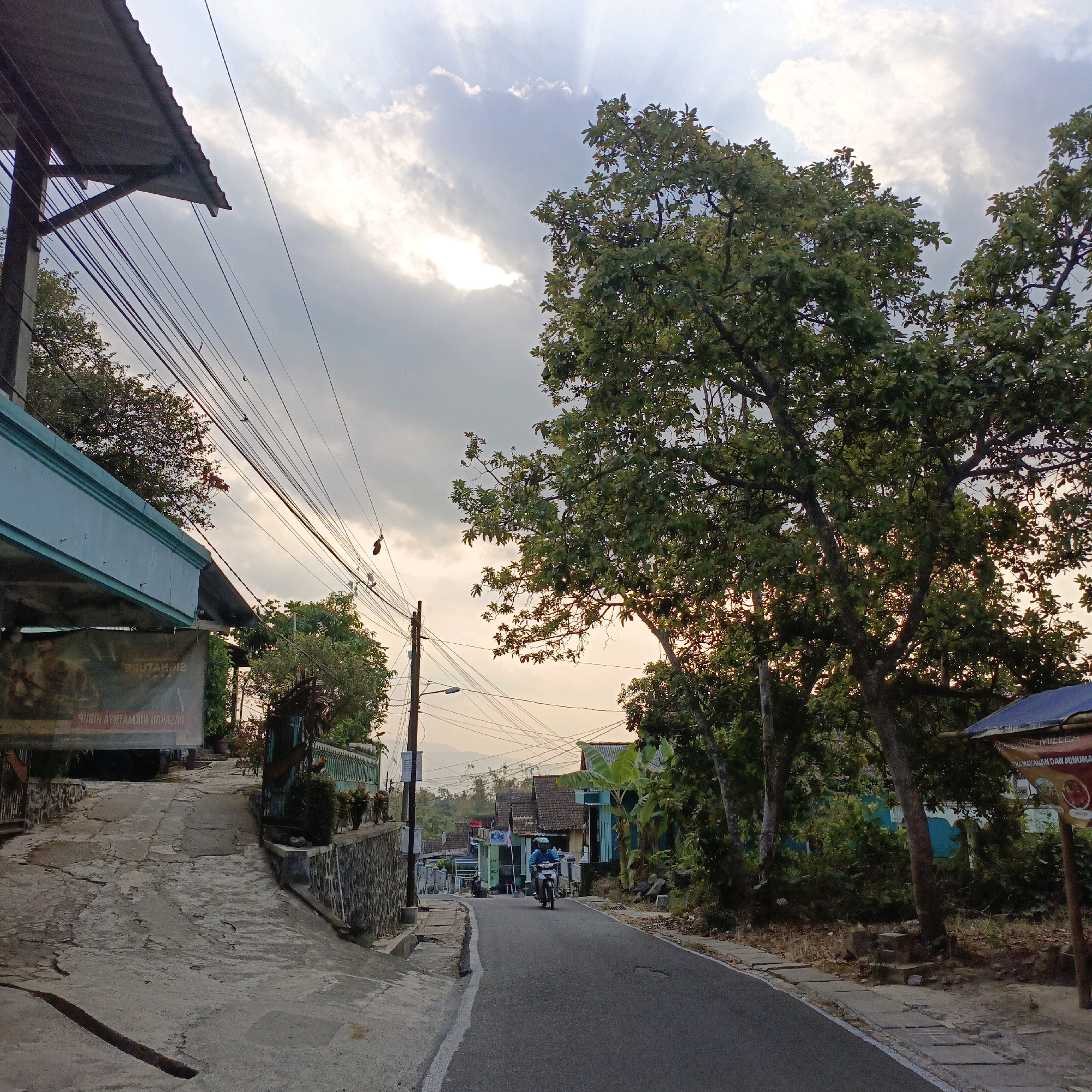 The image depicts a street scene in Salatiga, Indonesia. The perspective is from a paved road that curves and slopes uphill. On the left side of the road, there is a building with a light blue overhang and a large banner with text that is difficult to read due to its orientation and image quality. Electrical wires are prominently strung overhead, crisscrossing the sky. A concrete wall runs alongside the road on the left.
On the right side of the road, mature trees with dense green foliage dominate the foreground and midground, their branches reaching towards the sky. Beyond the trees, several houses with tiled roofs are visible, some painted in light blue. A person is riding a motorcycle up the road in the distance. The sky is partly cloudy with shafts of sunlight breaking through, suggesting either sunrise or sunset. The overall environment appears to be a residential area on a hillside. The road surface is asphalt with white dividing lines. The scene is naturally lit by the sun filtering through the clouds.