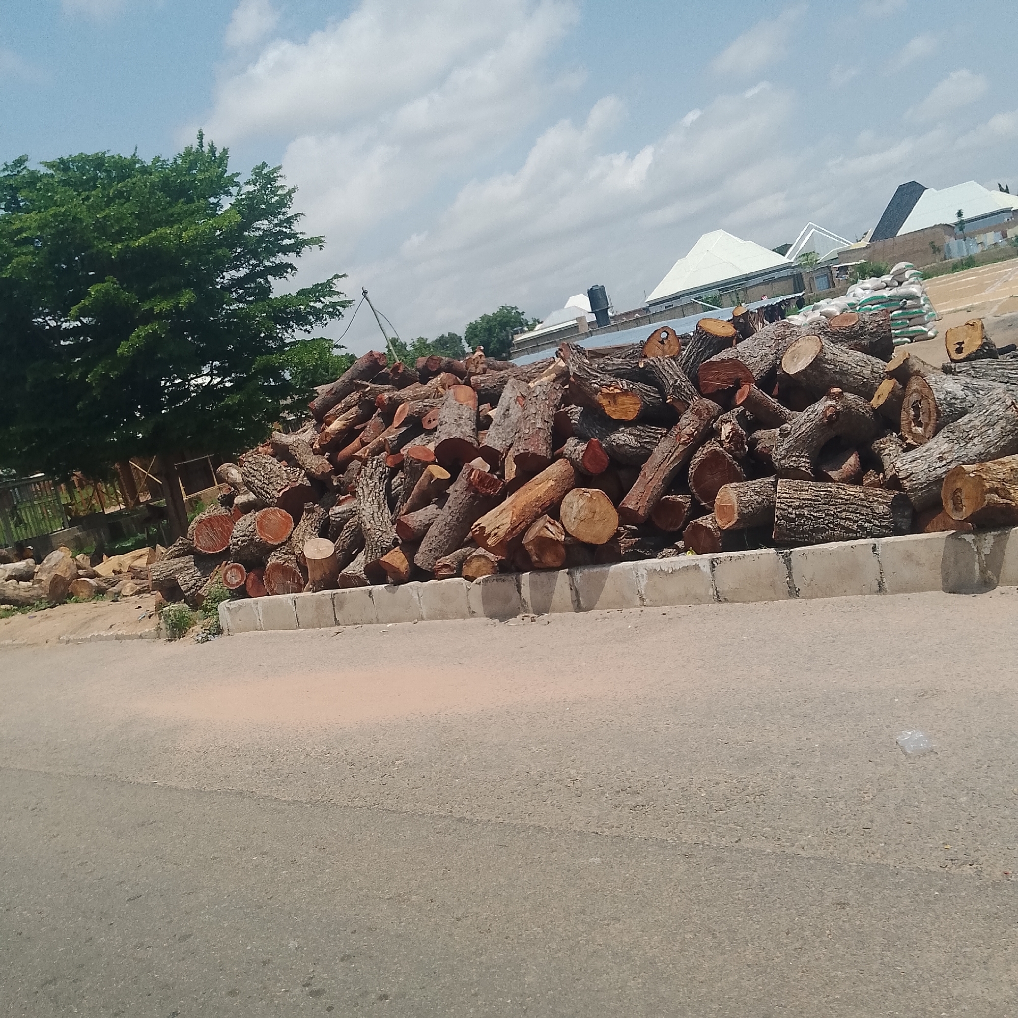 A pile of cut logs is situated on the side of a paved road in Jalingo, Nigeria. The logs, of varying sizes and wood types, are stacked haphazardly, with some showing raw, reddish-brown interiors and others displaying rough, grey bark. A concrete curb separates the pile of wood from the asphalt road. In the background, there are several modern buildings with distinctive white, angled roofs, and stacks of white sacks, possibly containing grain or cement. A large, leafy green tree stands to the left of the log pile, and a water tank is visible on the roof of one of the buildings. The sky above is a light blue with scattered white clouds. The scene appears to be an outdoor storage or work area.
