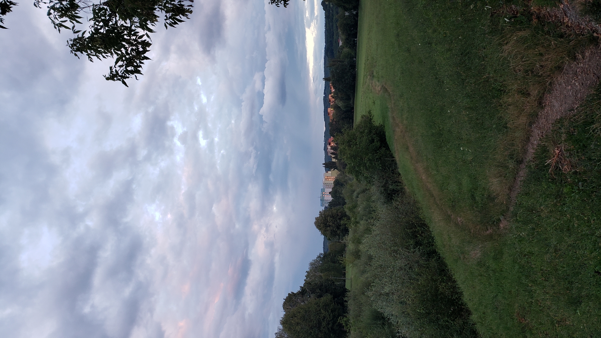 A vertical, wide-angle photograph captures a view of the city of Prešov, Slovakia, from a grassy embankment overlooking a cluster of trees and buildings. The sky is filled with heavy, overcast clouds, tinged with a hint of pink and purple at the horizon, suggesting either dawn or dusk. In the middle ground, a dense line of green trees separates the foreground from a distant cityscape. Several multi-story buildings, some appearing to be apartment blocks, are visible within the urban landscape, their windows illuminated. The foreground consists of a gently sloping, verdant grassy area with a narrow dirt path winding through it. On the far left, a thick patch of foliage, possibly bushes or smaller trees, lines the edge of the embankment. The overall atmosphere is tranquil and serene, with the natural elements dominating the scene. No people or animals are visible in the image.