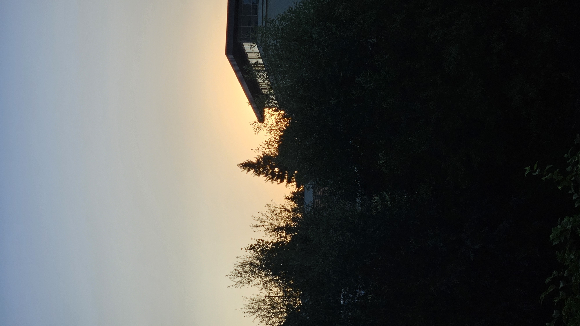 The image depicts a sunset viewed through trees in the city of Prešov, Slovakia. The sky transitions from a pale blue at the top to a warm orange and yellow near the horizon, indicating the sun is low. Silhouetted trees and vegetation dominate the foreground and midground, with darker shapes suggesting dense foliage. A portion of a modern building with a flat roof and large windows is visible in the upper right quadrant, partially obscured by trees. The sun is setting behind the trees and the building, casting a warm glow. No people are visible in the scene. The overall atmosphere is serene and natural, with a hint of urban presence from the building.