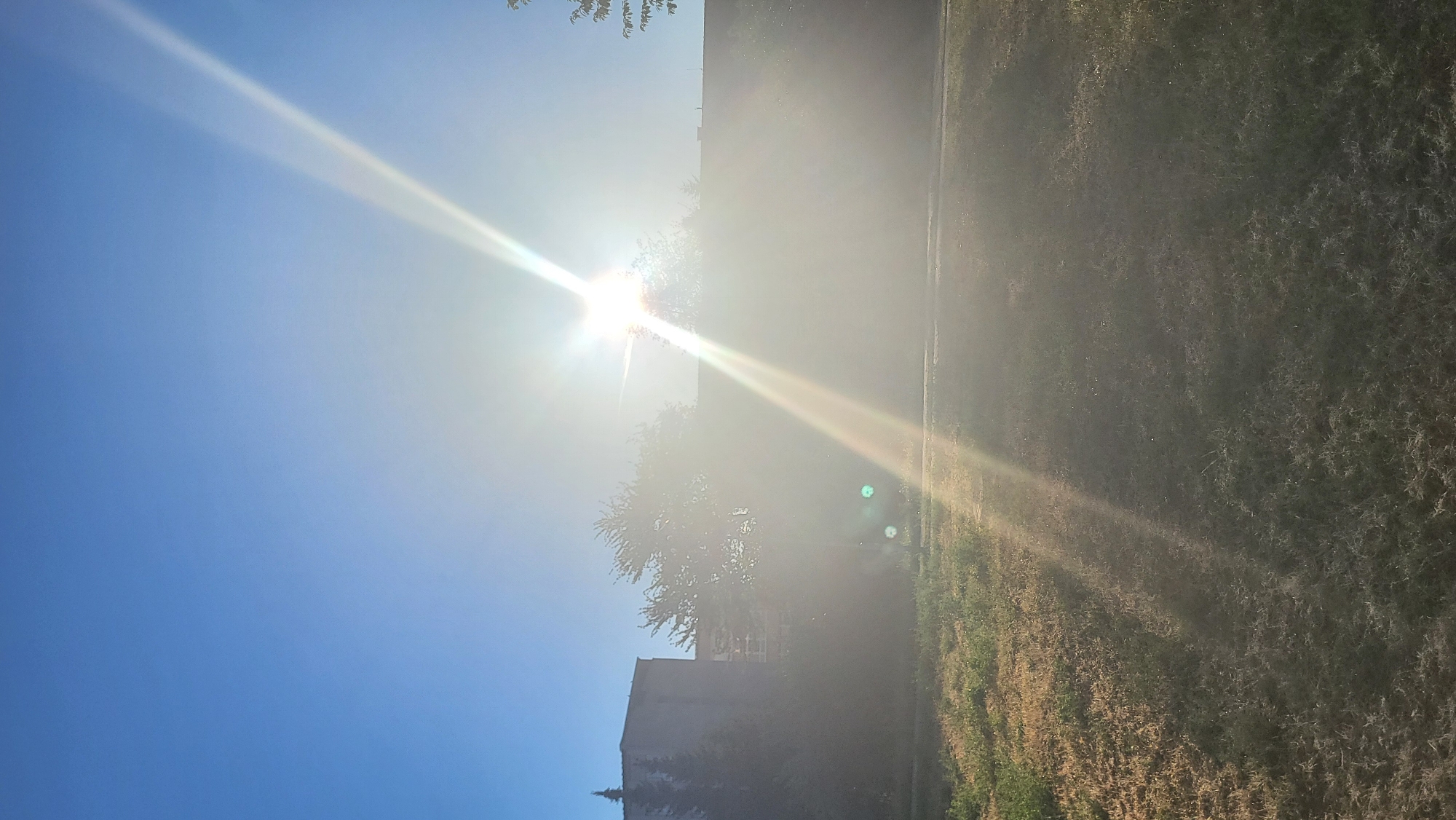 The image depicts a bright, sunny day in an outdoor urban environment, likely a park or open grassy area adjacent to buildings. The sun is high in the clear blue sky, causing significant lens flare and obscuring details of the distant elements. In the background, there are several buildings, one with a pointed structure resembling a tower on its left side. Trees are scattered between the buildings and in the foreground. The ground in the foreground is covered with dry, patchy grass. The overall impression is one of bright daylight with the sun's intensity dominating the scene. The location is the city of Prešov, Slovakia.