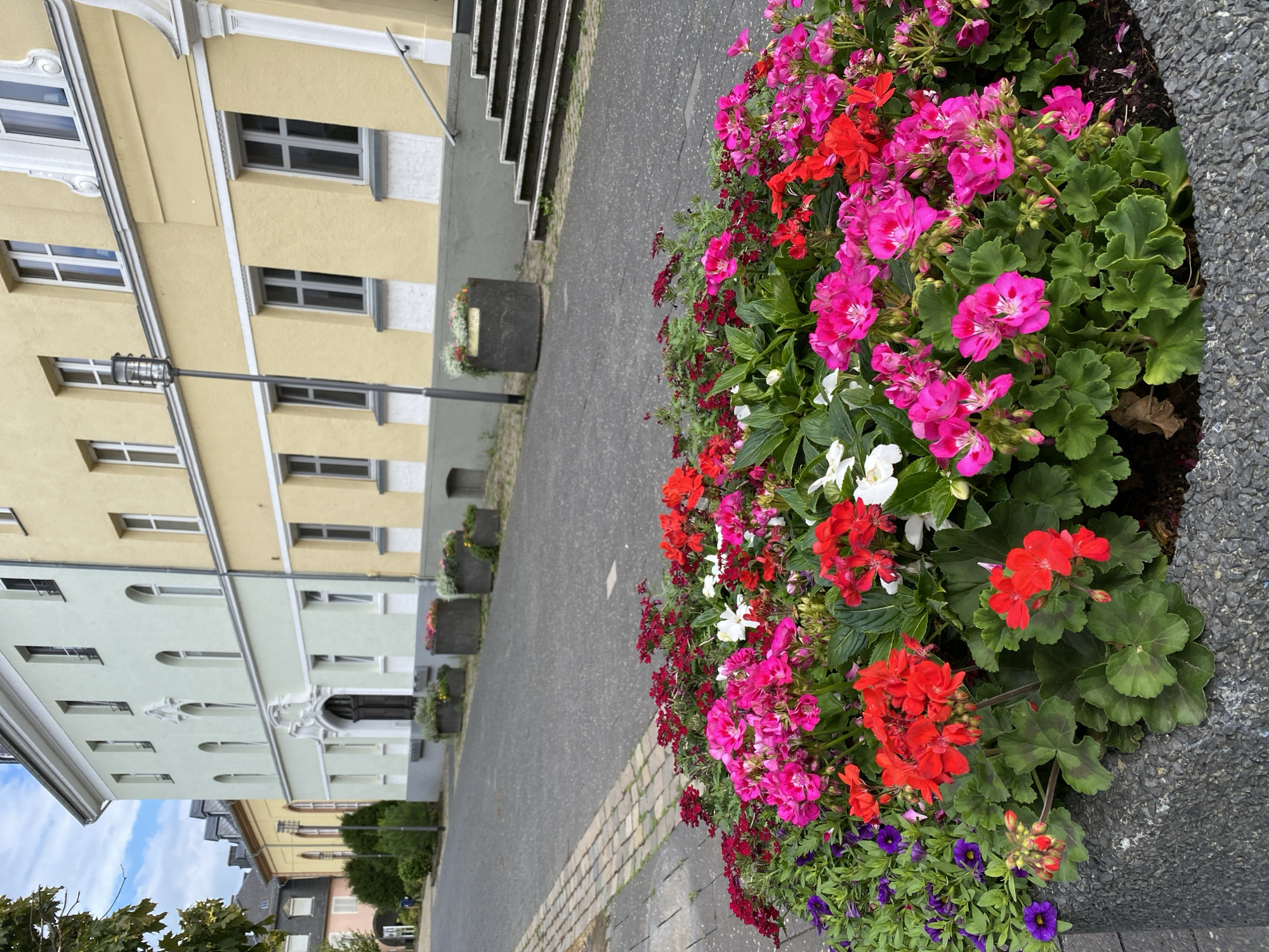 The image shows a street scene in Neuwied, Germany, with a focus on a large planter filled with vibrant red, pink, and white flowers in the foreground. Behind the planter, a paved street runs alongside a sidewalk made of cobblestones. In the background, two buildings with light green and yellow facades stand tall, featuring multiple windows and architectural details. Several large, cylindrical planters containing smaller flowers are placed along the street in front of the buildings. A lamppost stands between two of these planters. To the right of the yellow building, a set of stairs leads up to an entrance. The sky above is partly cloudy.