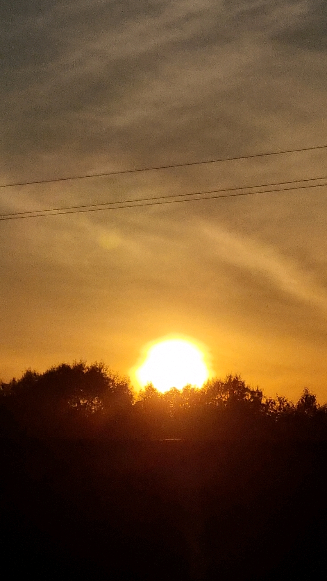 A sunset scene unfolds over Vysokoe, Russia. The sun, a brilliant white disc, is partially obscured by a dense line of silhouetted trees that form the foreground horizon. Its light casts a warm, golden-orange glow across the sky, illuminating wispy clouds that streak across the upper atmosphere. Two thin, horizontal power lines traverse the sky in the upper portion of the frame, indicating human infrastructure. The lower part of the image is dominated by the dark, indistinct shapes of trees and possibly a field, rendering details within this area indiscernible due to the low light conditions. The overall atmosphere is one of serene natural beauty, with the setting sun creating a dramatic and visually striking display.