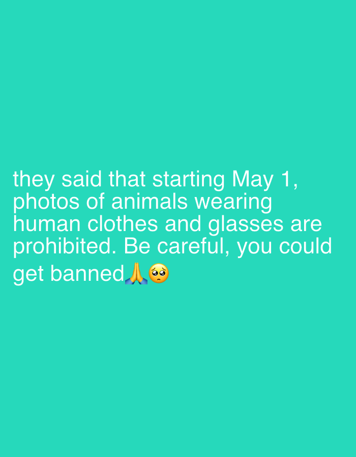 The image is a text-based post on a teal background. The text says, "they said that starting May 1, photos of animals wearing human clothes and glasses are prohibited. Be careful, you could get banned" accompanied by a pleading face emoji. There is no location or indication of Tel-Aviv, Israel in the image.