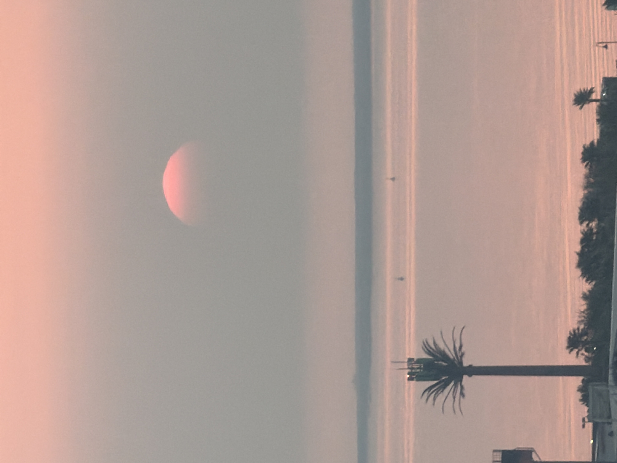The image shows a sunrise over a body of water, likely a bay or ocean, with a hazy pink sky. The sun, a bright pink orb, is partially visible through the haze. In the foreground, a tall palm tree with antenna equipment at its top stands on the left side of the frame. In the distance, across the water, a faint landmass or horizon is visible, and several small boats or buoys are scattered on the water. The overall impression is one of a serene, almost ethereal morning scene.