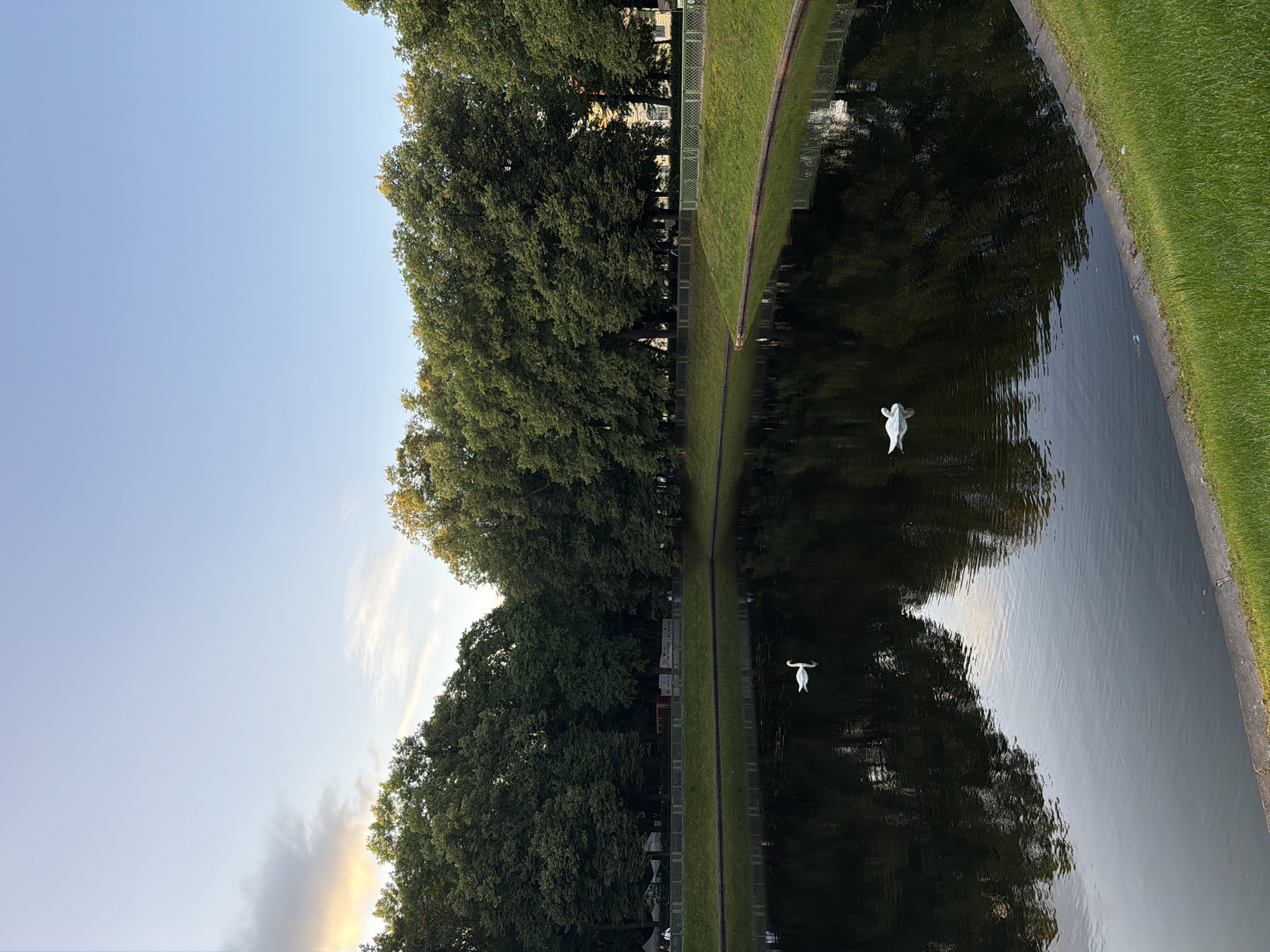 A body of water, likely a canal or pond, is bordered by lush green grass and a line of mature trees. Two swans are visible on the water's surface, with their reflections mirrored below. The sky above is a clear, soft blue with some wispy clouds on the left, tinged with the warm hues of sunset. In the background, a decorative fence separates the water from a path where a few people are walking. The scene suggests a park or garden setting within the city of Saint Petersburg, Russia, possibly during the evening hours.