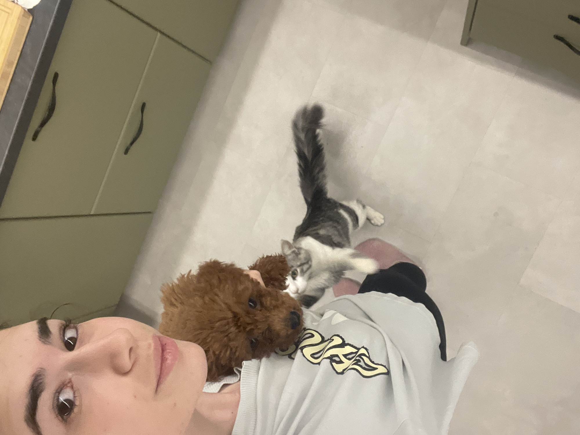A person is lying on their back, with a brown poodle resting on their chest. A gray and white cat is standing next to the person's legs, with its tail erect. The scene appears to be indoors, possibly in a kitchen, as indicated by the kitchen cabinets in the background. The floor is tiled. The person is wearing a light-colored sweatshirt with a graphic design. There is no indication of the city of Sofia, Bulgaria.