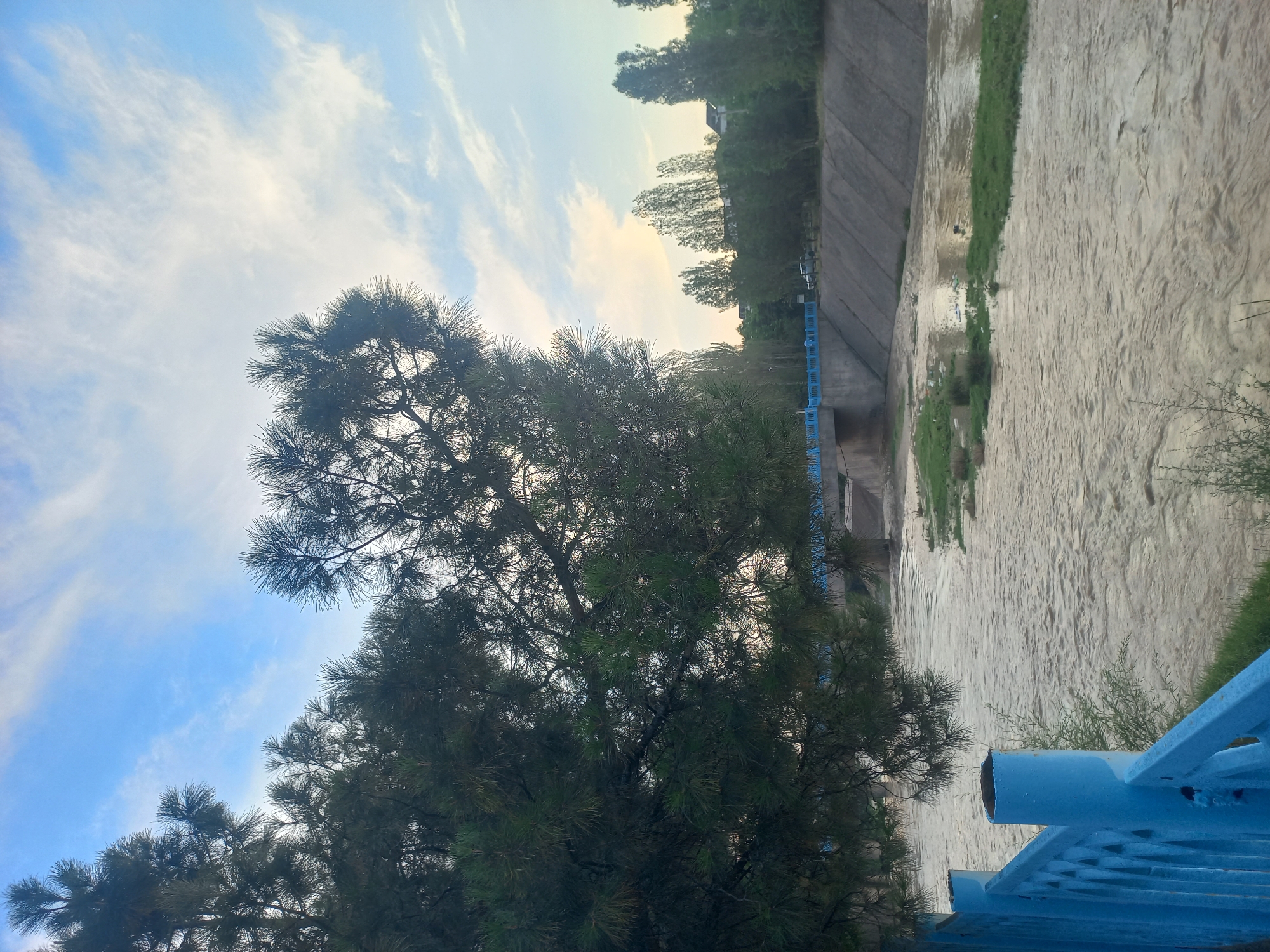 The image depicts a view of a river flowing alongside a concrete embankment, with lush green trees and a bright blue sky overhead. The river water appears murky and carries a significant amount of sediment, suggesting it might be a result of recent rainfall or heavy flow. A section of a blue railing is visible in the foreground, adding a pop of color to the natural landscape. The embankment suggests an urban or semi-urban setting, possibly a park or a waterfront area. The presence of trees, particularly pine trees with their distinctive needle-like leaves, indicates a temperate climate. The sky is a vibrant blue with streaks of white clouds, hinting at a clear and pleasant day. The overall mood of the image is serene and natural, inviting contemplation. The lighting suggests it is either morning or late afternoon, given the soft, diffused light. There is no visible text in the image. The setting is likely Kasansay, Uzbekistan, as indicated by the provided location context.