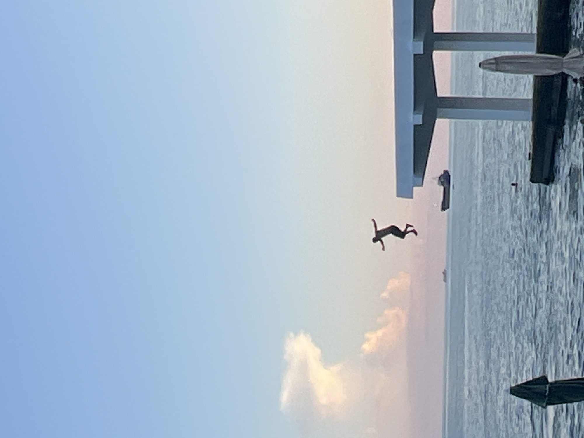 In Sokhumi, Abkhazia, a person is captured mid-air, mid-jump into the sea. The setting appears to be a waterfront, possibly a pier or a dock, with a covered structure with white pillars and roof visible to the right. The sea stretches out towards a hazy horizon, with a large ship visible in the distance. The sky above is a soft gradient of blue and pink, suggesting either dawn or dusk. The overall atmosphere is serene and captures a moment of athletic freedom against a tranquil coastal backdrop.