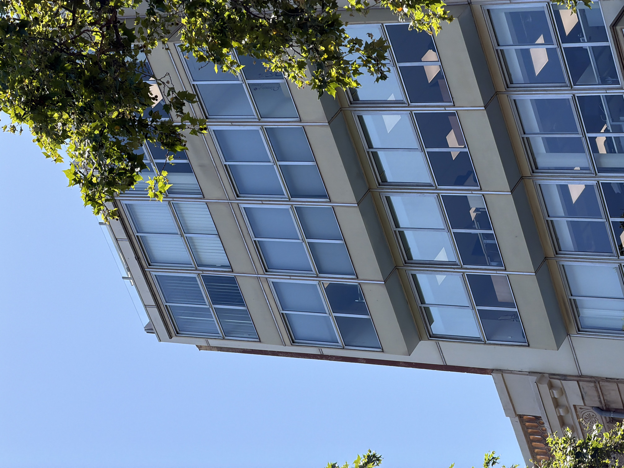 This is a photograph of a modern building with a light-colored facade and multiple floors of windows. The windows are large and rectangular, with some reflecting the sky and trees. The building appears to be in an urban setting, as suggested by the presence of trees and architectural details on a lower part of the building. The sky is clear and blue. The building has a clean, geometric design. A portion of a more ornate, older building with decorative elements and a gutter is visible on the lower left. Lush green tree branches with leaves are prominent in the foreground, partially obscuring the building. The lighting suggests it is daytime, likely with bright sunlight. The scene is static, with no visible people or activity. The building's style is consistent with mid-20th century modernist architecture, and its presence alongside older architectural elements suggests a blend of historical and contemporary urban development. The image appears to be taken from a street-level perspective looking upwards.