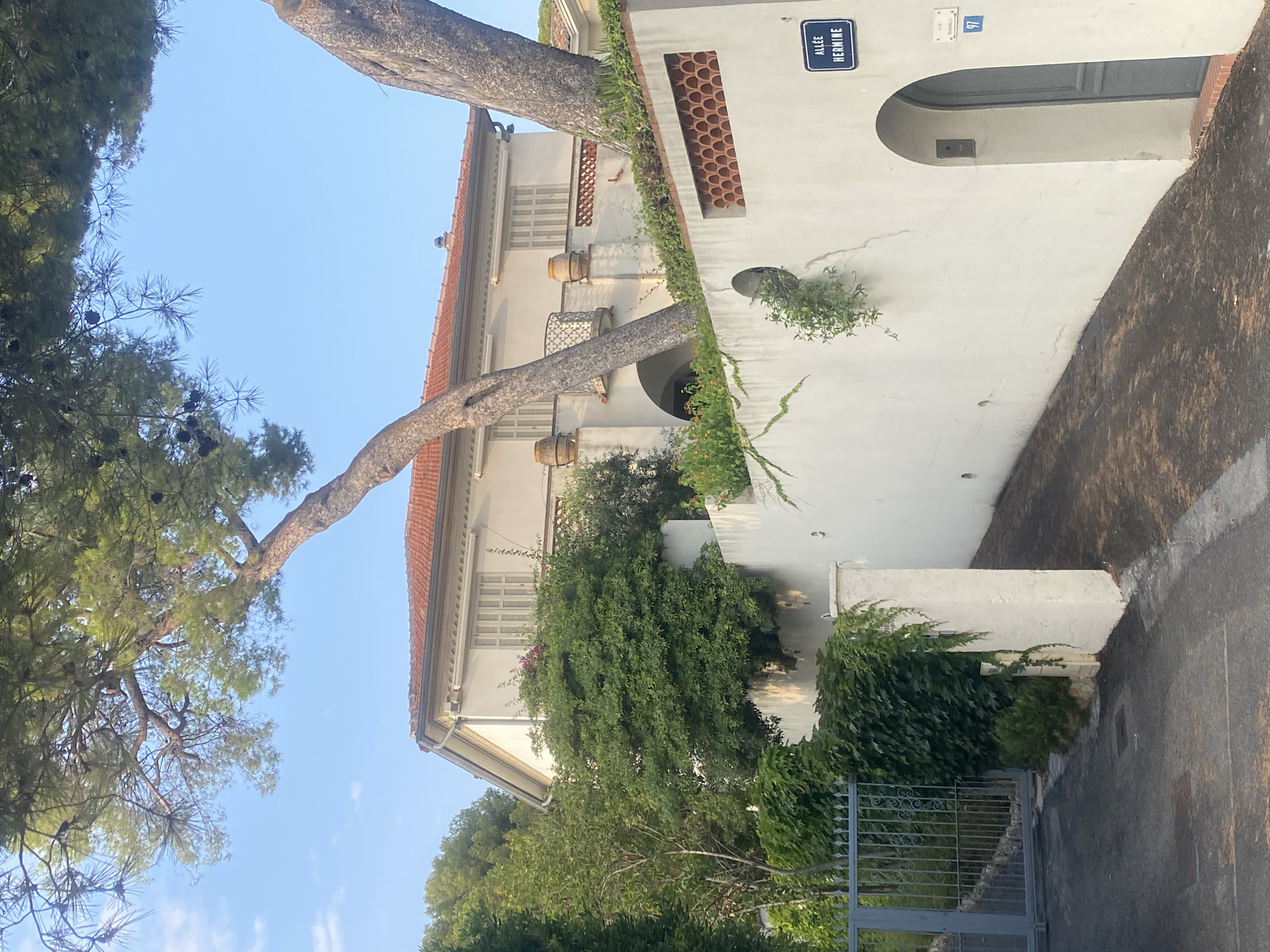 The image shows a street scene in Antibes, France, featuring a private driveway leading to a villa. A large pine tree with a distinctive leaning trunk dominates the foreground, its branches arching over the property. The villa itself is a two-story building with a terracotta tile roof and light-colored walls, featuring shuttered windows and balconies. A white stucco wall with an arched entryway and a decorative tile border lines the right side of the driveway. A street sign reading "Allée Hermine" is affixed to this wall, along with a house number "97". A gray metal gate is visible on the left side of the image, partially obscured by dense green foliage. The driveway is paved and slopes downwards. The environment appears to be sunny with a clear blue sky.