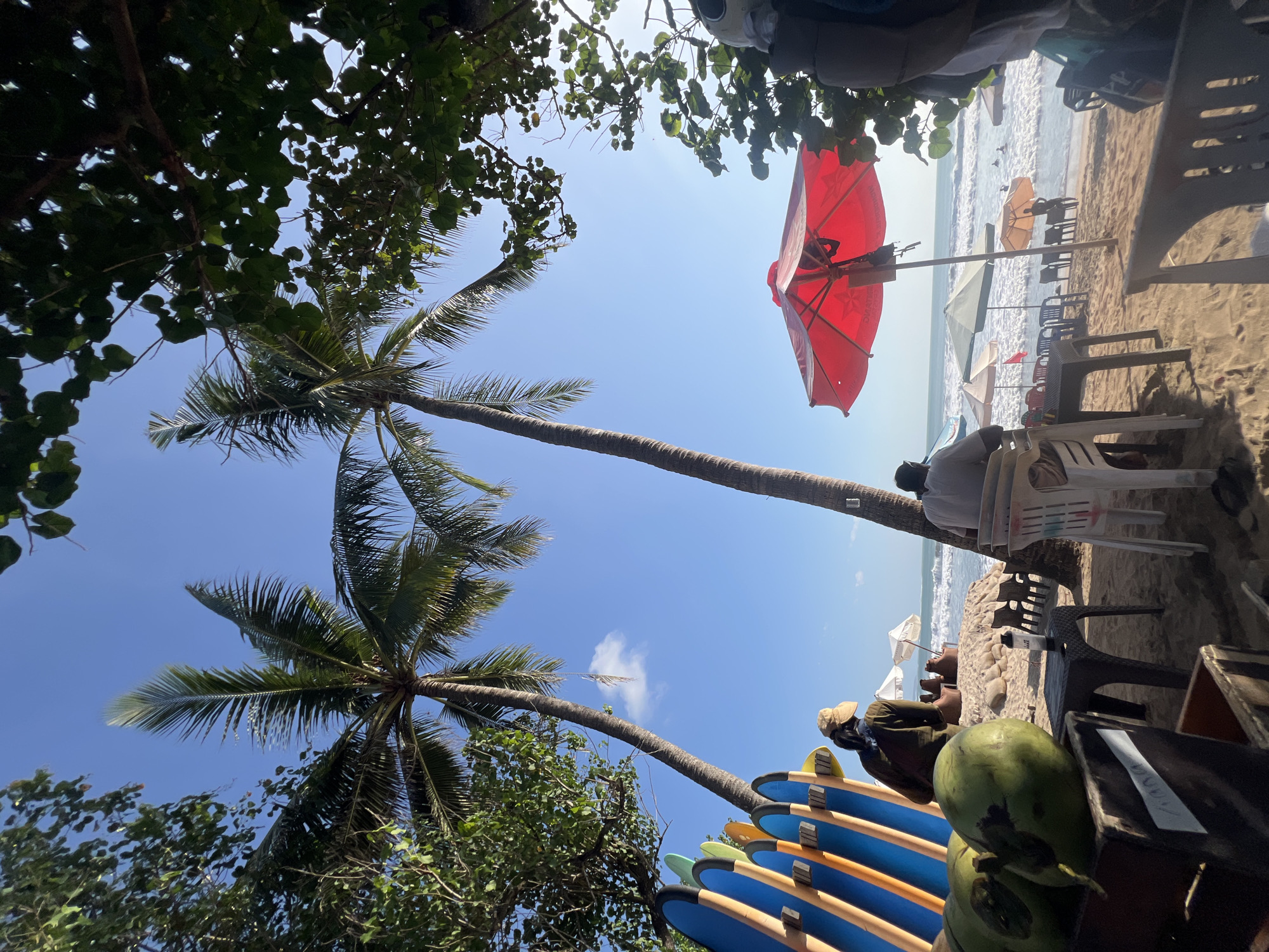 This is a photograph of a beach in Kuta, Indonesia. The image captures a scene on the sandy shore under a clear blue sky, with palm trees framing the view. In the foreground, a crate filled with green coconuts is visible. To the left, a rack holds several surfboards, their colorful fins pointing upwards. A person wearing a hat is seated near the surfboards, facing away from the camera. Further back, several beach chairs and umbrellas are set up on the sand. A large red umbrella stands prominently in the mid-ground. In the background, the ocean waves crash onto the shore, and several people are visible in the water. The overall atmosphere is one of a relaxed beach day.