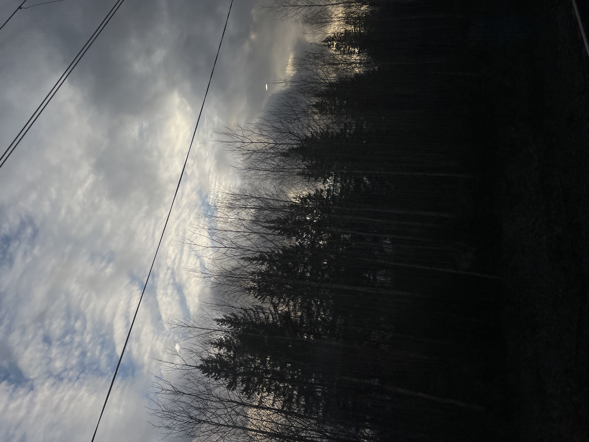The image shows a view of a dark forest against a cloudy sky. Power lines are visible on the left side of the frame. The trees appear bare or with minimal foliage. The overall scene has a muted, overcast atmosphere. The image does not contain information specific to the location in the city of Zabel'nyi, Russia. It shows a generic landscape. There are no people, actions, or interactions visible in the image.