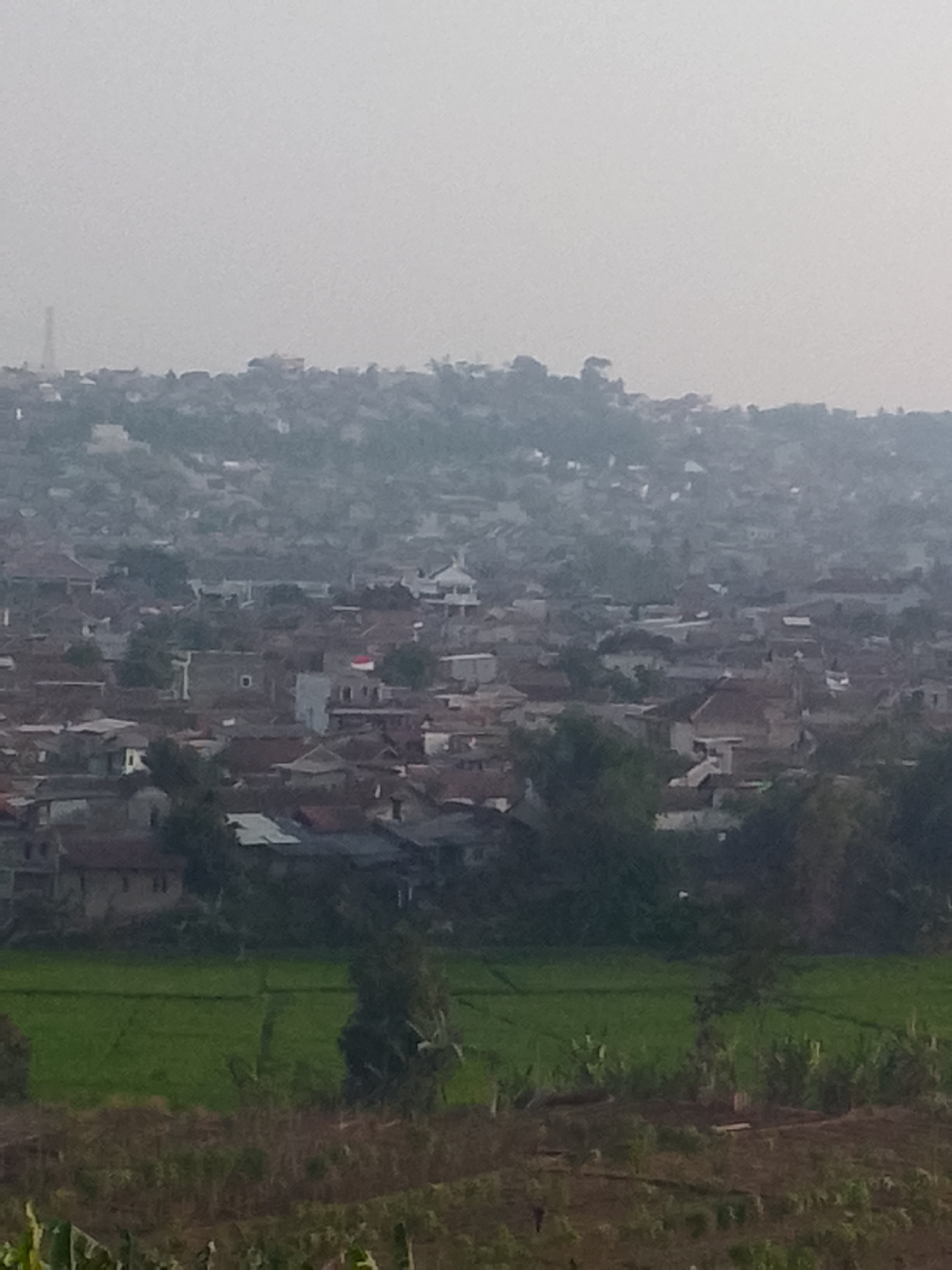 The image shows a wide, hazy view of a densely populated hillside in Padalarang, Indonesia, with a prominent green rice paddy in the foreground. The hillside is covered with a multitude of buildings, characterized by various roof colors and architectural styles, suggesting a mix of residential structures. A tall, slender industrial chimney is visible in the distance, on the upper left side of the frame, against the overcast sky. The haze in the atmosphere softens the details of the distant buildings and creates a muted, diffused light. In the middle ground, a mosque with a white dome stands out amidst the cluster of houses. The foreground features a vibrant green rice field, with visible rows indicating cultivation. The lower portion of the image displays a patch of dry, brown earth with scattered vegetation, possibly indicating a transition zone between cultivated land and the built-up area. The overall scene depicts a characteristic urban or semi-urban landscape in Indonesia, where residential areas often abut agricultural land, with signs of industrial activity in the background.