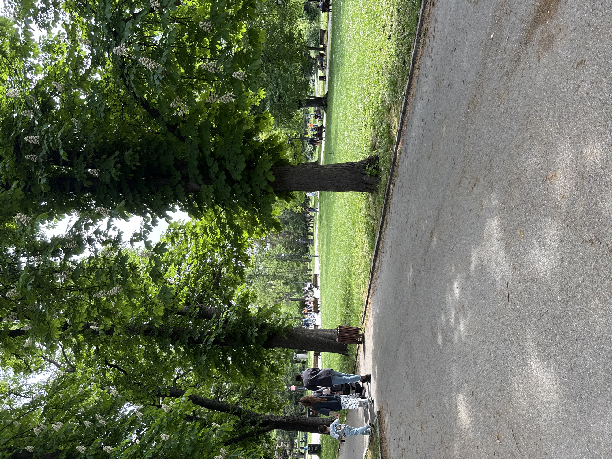 The image depicts a scene in a park in Sofia, Bulgaria, characterized by a paved pathway running along a grassy area with mature trees. The trees, some in bloom, cast shadows on the path. Several individuals are walking along the pathway, including what appears to be a family with a child pushing a stroller. Benches are visible in the background, occupied by people. The scene captures a typical day in a park.