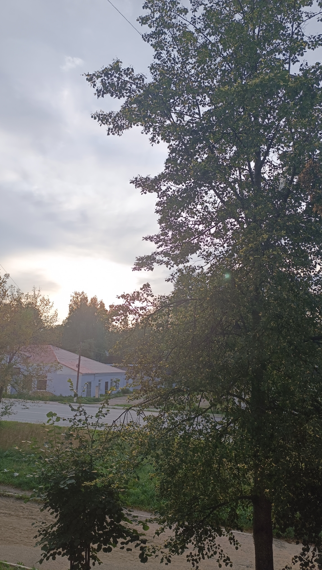 The image shows a view of buildings and trees in Chaikovsky, Russia, likely taken from a residential window. The sky is overcast with some patches of sunlight peeking through, suggesting it is either early morning or late afternoon. A large tree with green leaves dominates the foreground, with its branches extending towards the sky and obscuring parts of the view. In the middle ground, there are two single-story buildings with red-tiled roofs and light-colored walls, appearing to be part of a residential or industrial area. The surrounding environment includes green grass, dirt ground, and more trees. There are no people visible in the image.