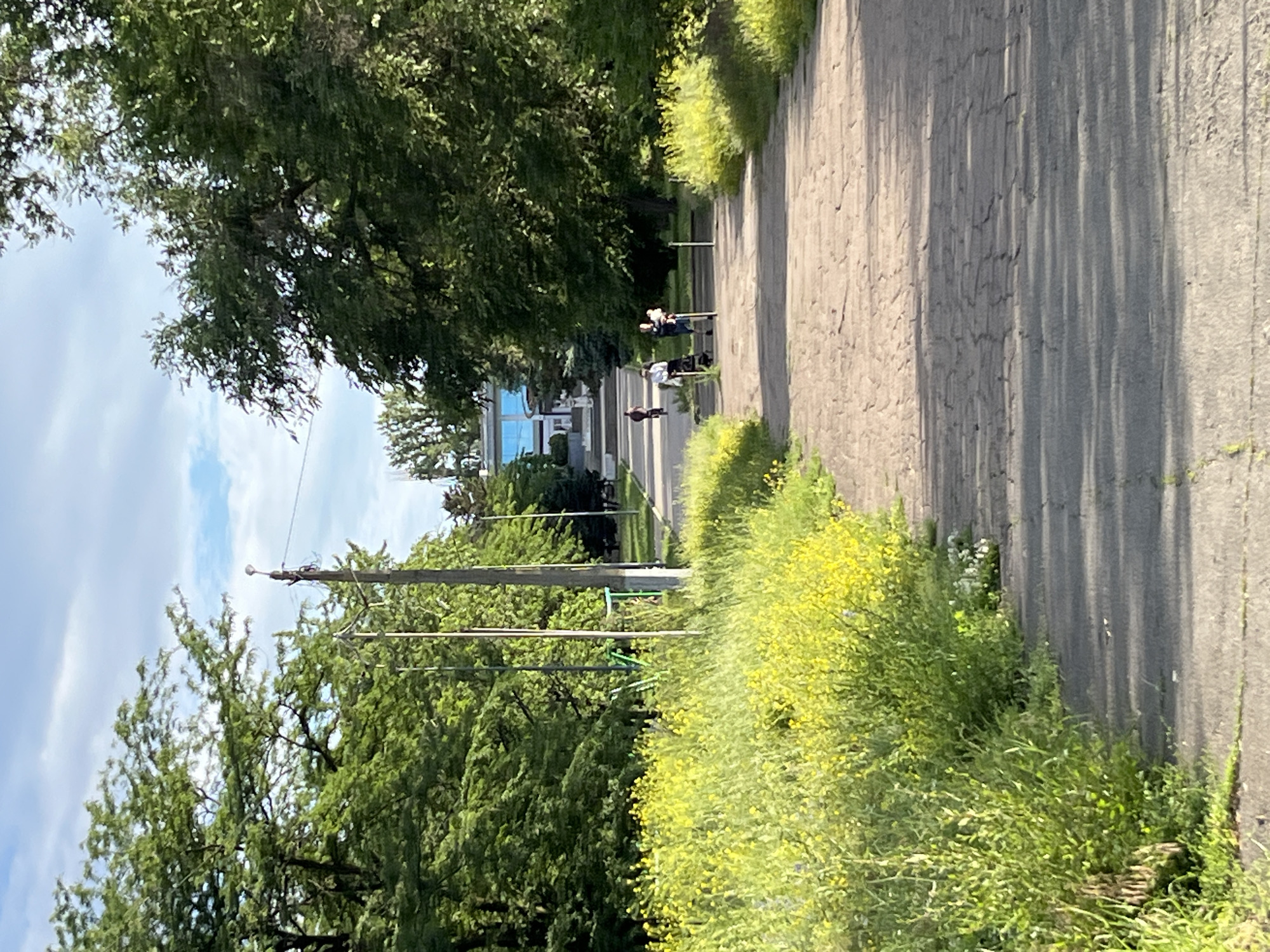 A paved path winds through a park with abundant green trees and lush vegetation, including a vibrant patch of yellow wildflowers on the left. The path is sparsely populated with people: a person on a scooter is visible in the mid-ground, and further up, another person is walking with a stroller, and another individual is walking a dog. In the background, a modern, light blue building with a white facade stands at the end of the path, possibly a community center or public facility. The sky above is a mix of blue with scattered white clouds, indicating a pleasant day. The scene appears to be a well-maintained urban park, likely in Shyroka Dacha, Ukraine.