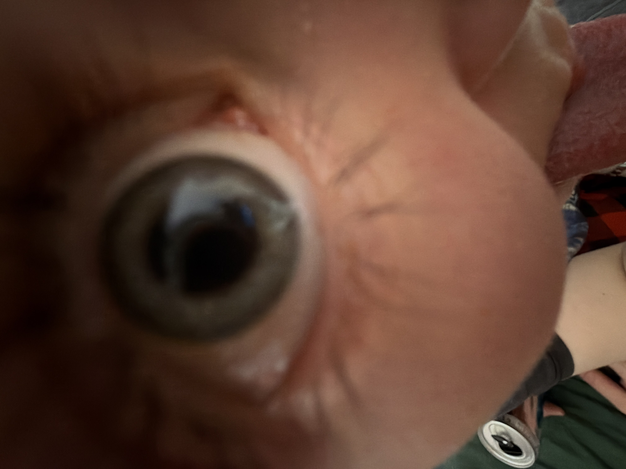 A close-up image features a person's left eye, prominently centered. The iris is a mix of grey, green, and blue. Fair skin is visible around the eye, along with some eyelashes and skin wrinkles. At the top right of the shot, part of a pink tongue is visible, as well as a beer can, a plaid shirt, a white shirt, and a green blanket, suggesting a casual setting. The location is impossible to determine, with only a close up of a person’s eye as clues.