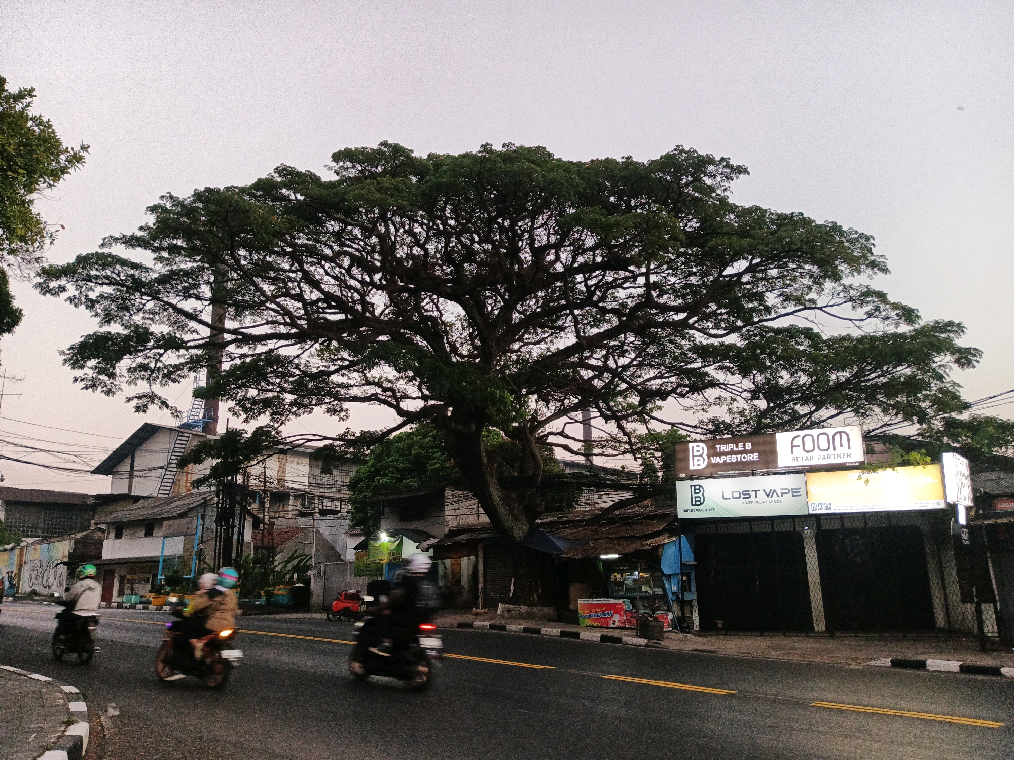 The image depicts a street scene in Bandung City, Indonesia, dominated by a massive, sprawling tree with a wide canopy and intricate branches, casting a shadow over the road and adjacent buildings. The sky is overcast, suggesting it is either early morning or late afternoon. Several motorcycles are visible on the asphalt road, with riders wearing helmets and protective gear. Some of the motorcycles are in motion, creating motion blur, indicating the passage of time.
On the right side of the road, there are several storefronts with illuminated signs. One prominent sign reads "FOOM RETAIL PARTNER" in white letters on a black background, with "TRIPLE B" and "VAPESTORE" also visible. Below this, another sign displays "LOST VAPE POWER YOUR PASSION". These establishments appear to be shops selling vaping products. To the left of the road, there are buildings with a mix of architectural styles, including what looks like a factory or industrial building with a tall chimney or exhaust stack. There are power lines crisscrossing the scene. The road itself has yellow double lines marking the lanes and a white curb. The overall atmosphere is urban, with a blend of nature (the large tree) and commercial activity.