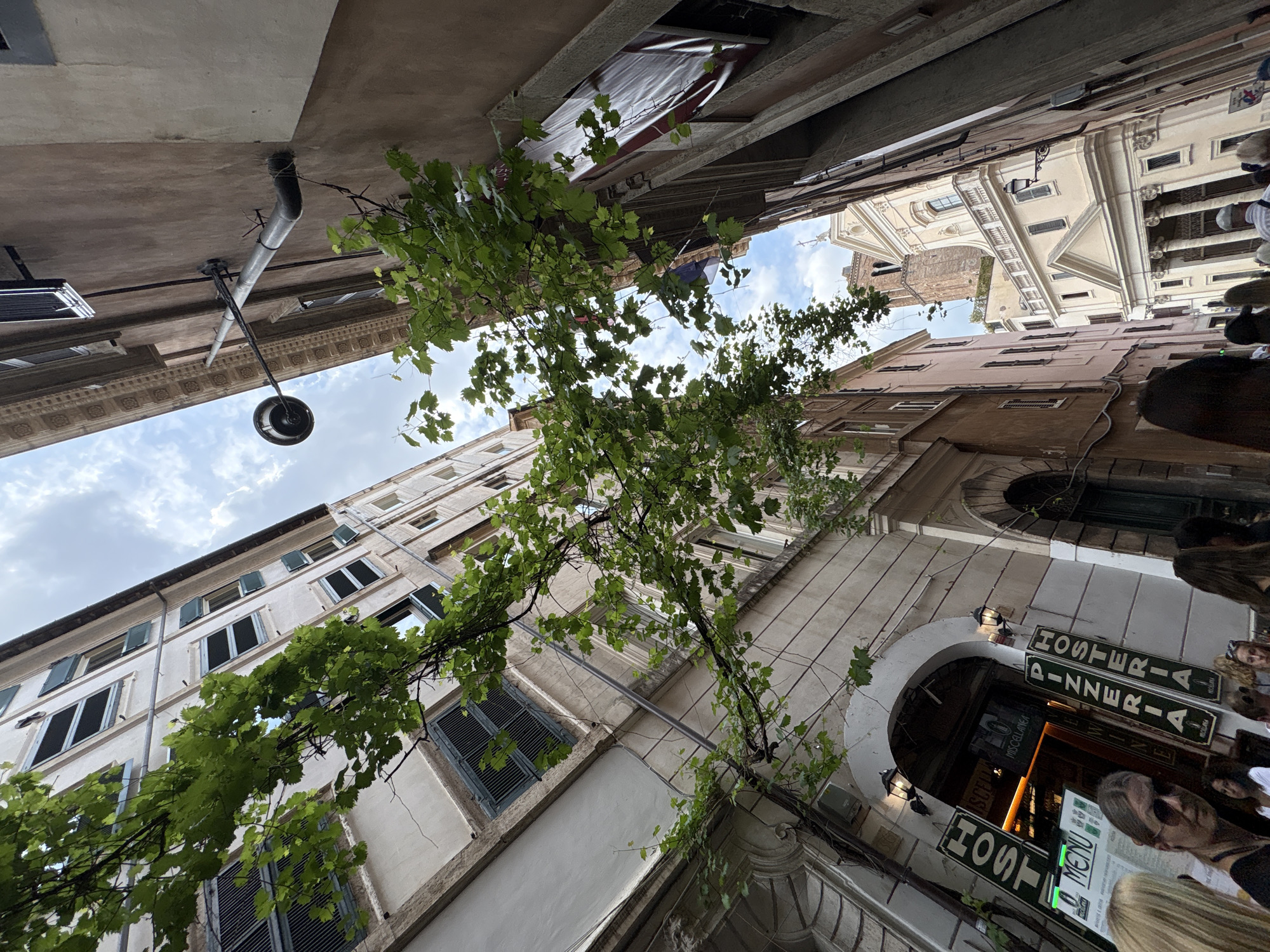 This upward-looking photograph captures a narrow, historic street in Rome, Italy, lined by tall, aged buildings. A lush green vine with broad leaves, possibly grapevines, stretches across the alley overhead, creating a natural canopy against a partly cloudy sky.
On the left, a light-colored building features multiple windows, some with dark, closed shutters and others slightly ajar. A classic black street lamp extends from this facade, and some pipes run along the wall. On the right, another building with similar architectural style houses a restaurant at street level, marked by an arched entrance.
Several people are visible at the bottom right, gathered near the restaurant entrance, suggesting a lively atmosphere. Signs hanging vertically announce "HOSTERIA" and "PIZZERIA," while another sign horizontally displays "HOST." A menu board, with "MENU" visible, is also present near the entrance. In the background, further down the street, glimpses of more elaborate historical architecture, including what appears to be a church or a grand building with a tower, can be seen.
The lighting suggests it is daytime, possibly late afternoon, with a bright sky and diffused light. The scene offers a charming perspective of a bustling Roman street, highlighting its architectural heritage and natural elements.