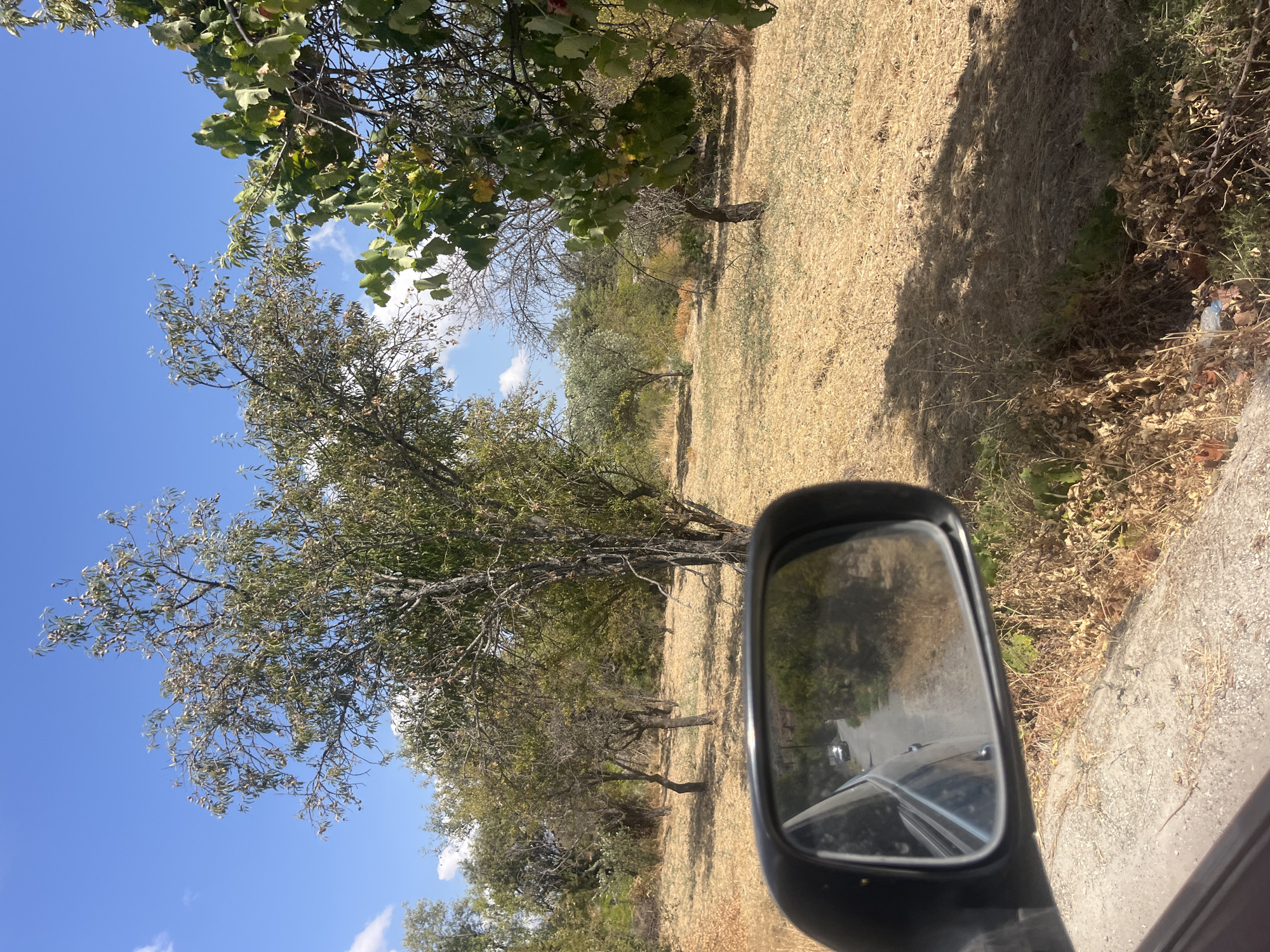 This is a medium shot, taken from inside a vehicle, of a dry, grassy field with scattered trees. In the foreground, the black side-view mirror of a car is visible on the left. The mirror reflects a road with another car in the distance, and dense green foliage on the right. The background features a landscape of trees with dry, yellow grass covering the ground. The sky is blue with scattered white clouds. The scene is likely in Silikou, Cyprus, given the dry, Mediterranean vegetation.