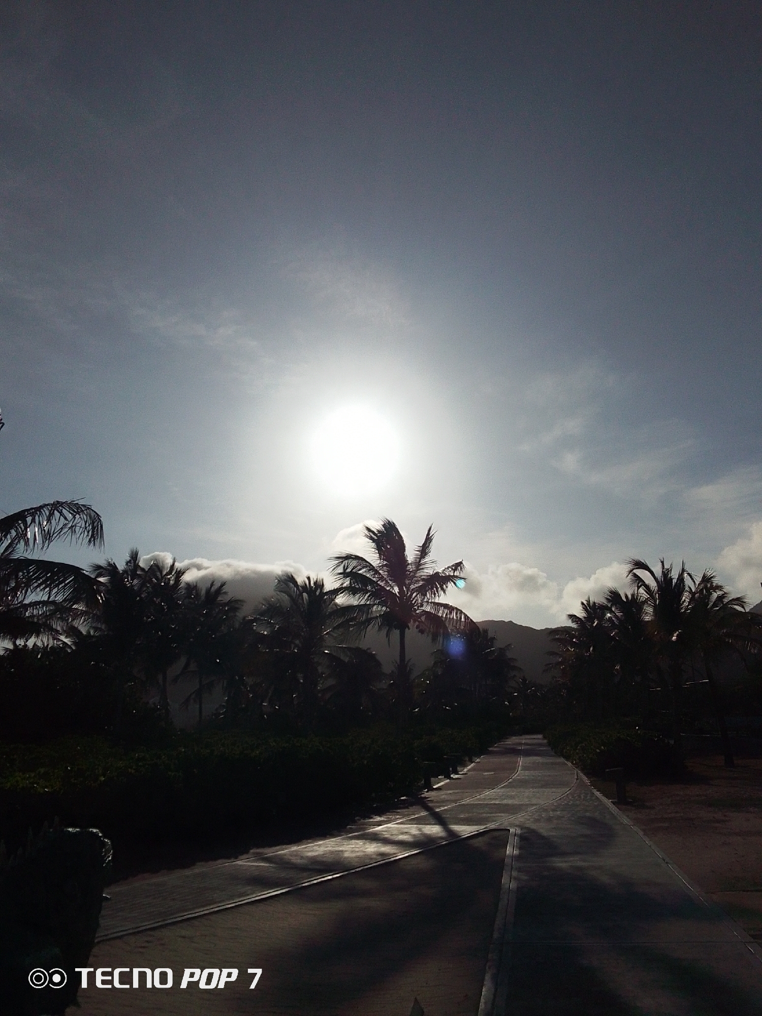 The image displays a tropical landscape in Pedro González, Venezuela, under a brilliant, intensely bright sun. The sun, positioned centrally in the upper half of the frame, dominates the sky, creating a strong backlight effect that silhouettes many elements in the foreground and midground. The sky ranges from a bright, almost white glow around the sun to a light blue-grey further away, with scattered clouds partially visible.
A paved pathway, possibly a road or walkway, curves from the bottom right into the distance, flanked by dense, dark vegetation and numerous palm trees. These palm trees are largely silhouetted against the bright sky and sun, with some exhibiting lens flare around their fronds. Distant hills or mountains are faintly visible in the background, partially obscured by clouds and the bright atmospheric haze.
The foreground features dark bushes and a hint of a small, dark creature, possibly an iguana or lizard, on the left side of the path. The path itself shows areas of high contrast, with bright, reflective patches of glare from the sun contrasting with deep shadows. The scene suggests a bright, sunny day in a warm climate. A "TECNO POP 7" watermark is present in the bottom-left corner of the image.