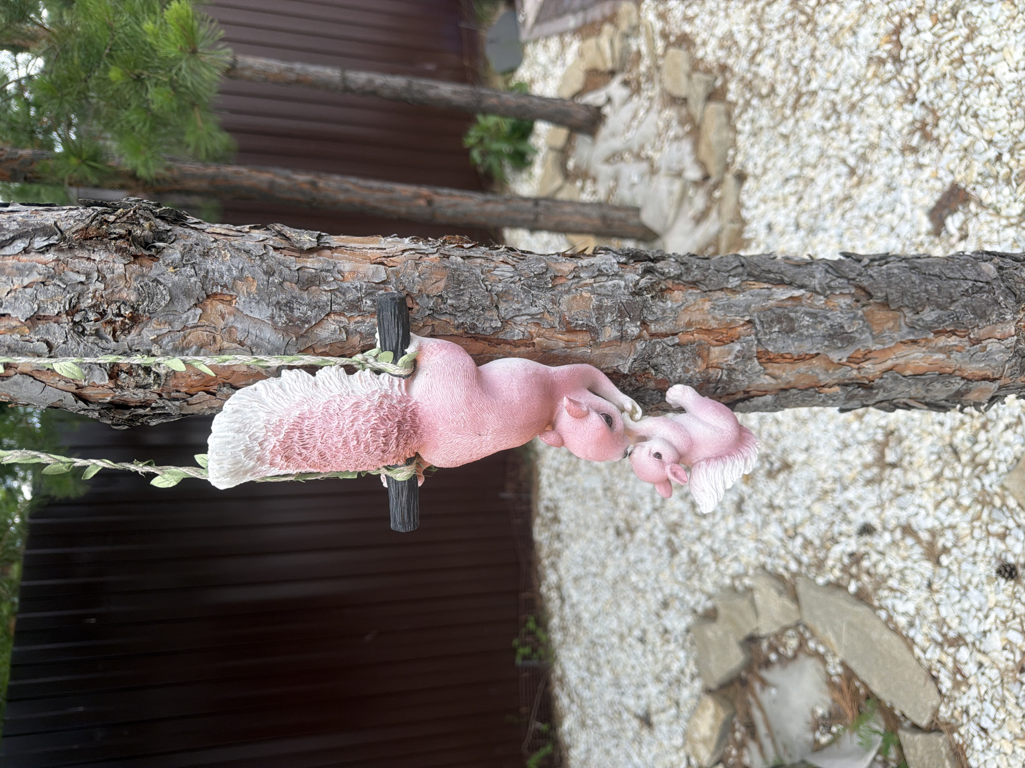 Two pink resin squirrel figurines are hanging upside down from a string wrapped around a pine tree in what appears to be a backyard or garden setting. The larger squirrel, positioned above, has its tail raised and curved over its head, appearing fluffy and textured with white and pink. It is grasping a dark horizontal rod with its paws. Below the larger squirrel, a smaller squirrel is also hanging, appearing to be interacting with the larger one, possibly reaching up towards its face. This smaller squirrel also has pink coloring and textured white accents on its tail and ears.
The pine tree has rough, textured bark, and the string holding the figurines is adorned with small green leaf-like embellishments. In the background, a dark brown wooden fence runs horizontally across the image. Behind the fence, there are visible green pine branches and what appears to be a darker, blurred area. The ground in the foreground is covered with a layer of small white pebbles and scattered, light-colored rocks of varying sizes. Several other pine trees are visible in the mid-ground, with the one in the foreground being the most prominent. The overall scene suggests an outdoor decorative arrangement.