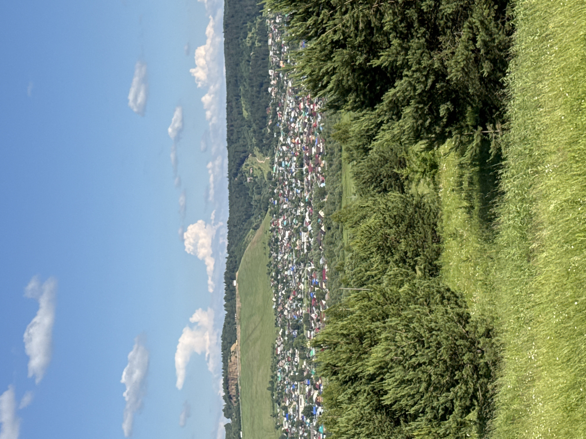 This is a vertical, eye-level, wide shot of a village nestled in a valley in Sim, Russia. The scene is bathed in bright, natural light, indicating it's likely daytime, possibly late morning or early afternoon, given the clear blue sky with scattered white cumulus clouds. The weather appears pleasant and sunny.
The primary subject is the sprawling village, characterized by a dense cluster of small, colorful houses with varied roof colors, including red, white, blue, and green. These homes are situated on a gentle slope, surrounded by lush green vegetation. A significant portion of the frame is occupied by the village, stretching out into the distance.
To the right of the village, a steep, grassy hill rises, partially covered in wildflowers. This hill is bordered by dense evergreen trees, which also frame the village from the right. To the left of the village, a large, flat, green field dominates the landscape, with a dark, forested hill in the background. The terrain suggests a rural, possibly mountainous or hilly, environment. A dirt path is visible winding its way up the hillside to the left of the village.
There are no visible people or specific objects that suggest an activity or event is taking place. The image captures a serene, scenic view of a rural settlement. The overall emotion conveyed is one of peace and natural beauty. No text is visible in the image.