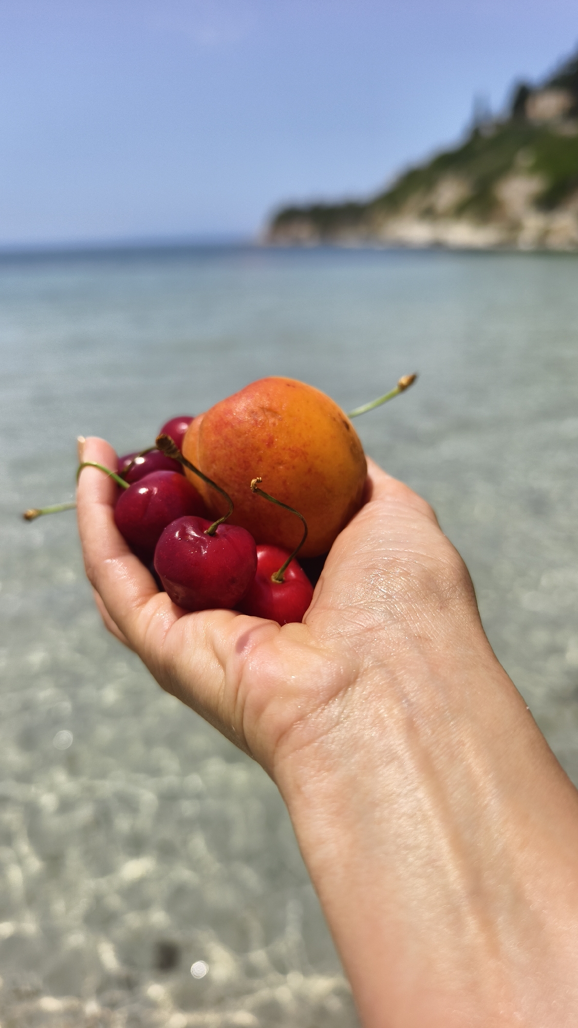 A close-up shot shows a human hand holding a small pile of fresh cherries and one apricot. The hand is positioned in the foreground, with the cherries and apricot resting in the palm. Behind the hand, the clear, shallow water of the sea is visible, with the seabed slightly discernible beneath the surface. In the background, a hazy, out-of-focus view of a rocky coastline with green vegetation and a clear blue sky suggests a coastal location, possibly in or near Kuşadası, Turkey. The overall impression is one of a refreshing, natural scene.